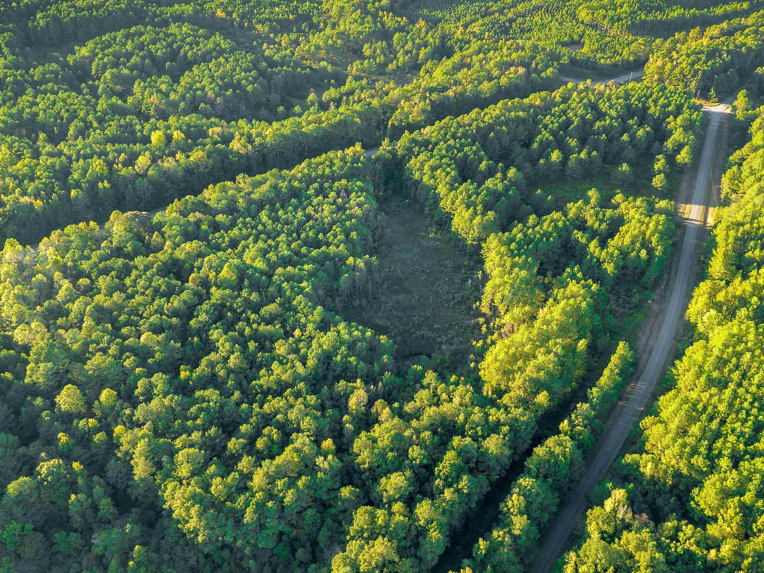 01 Hwy 13, Eldridge, AL 35554 — photo 10