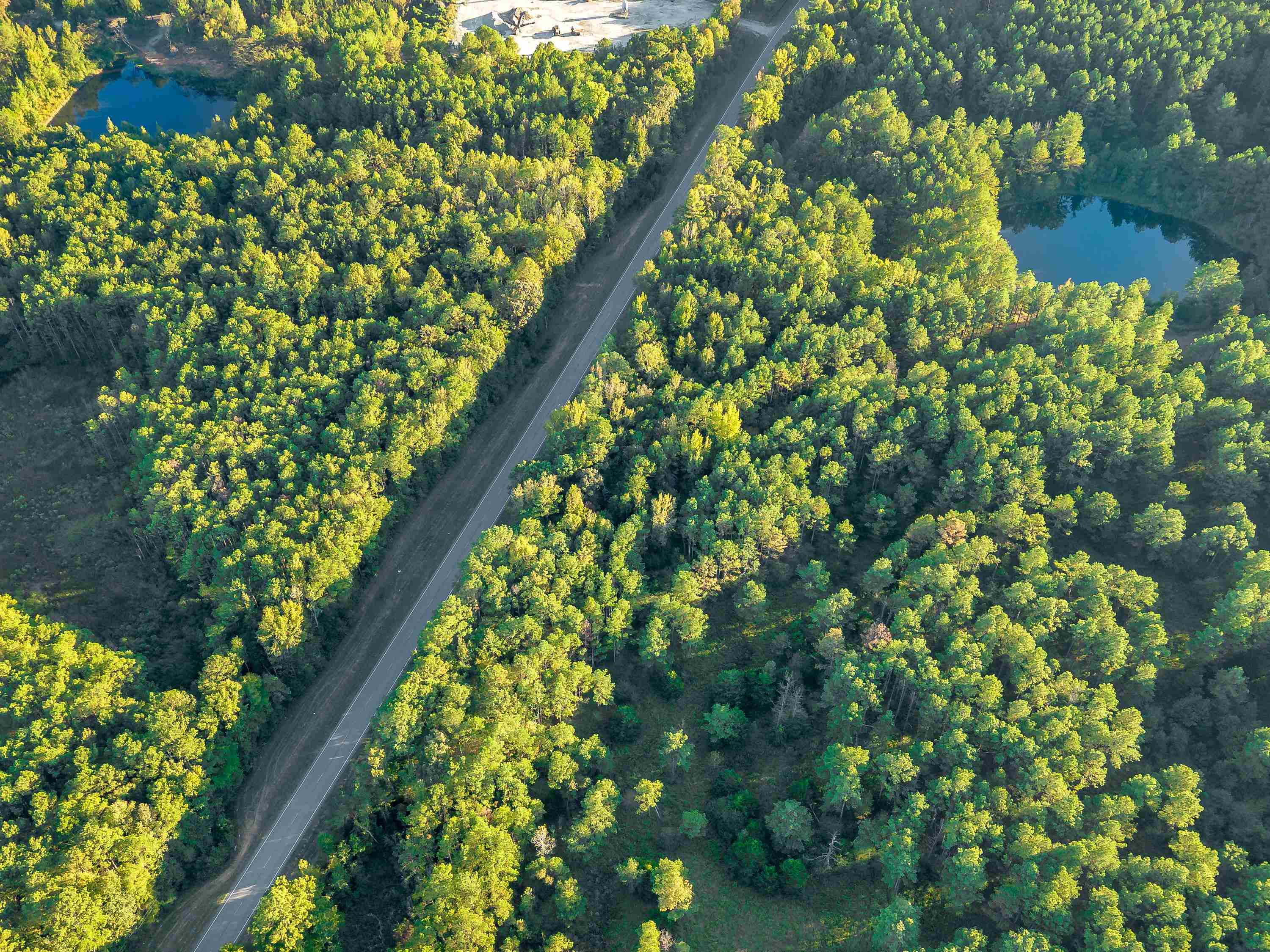 03 Hwy 13, Eldridge, AL 35554 — photo 12