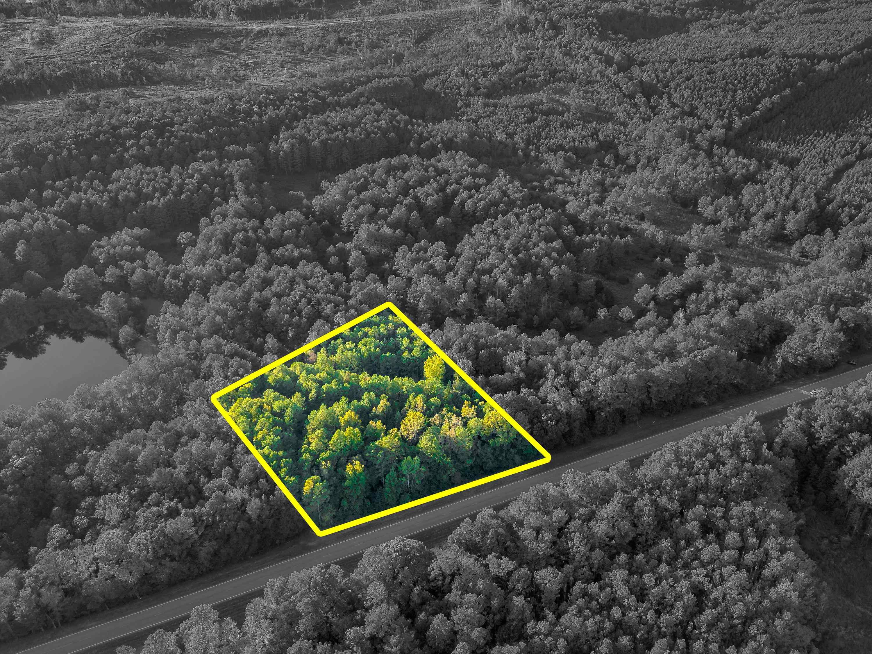 03 Hwy 13, Eldridge, AL 35554 — photo 5