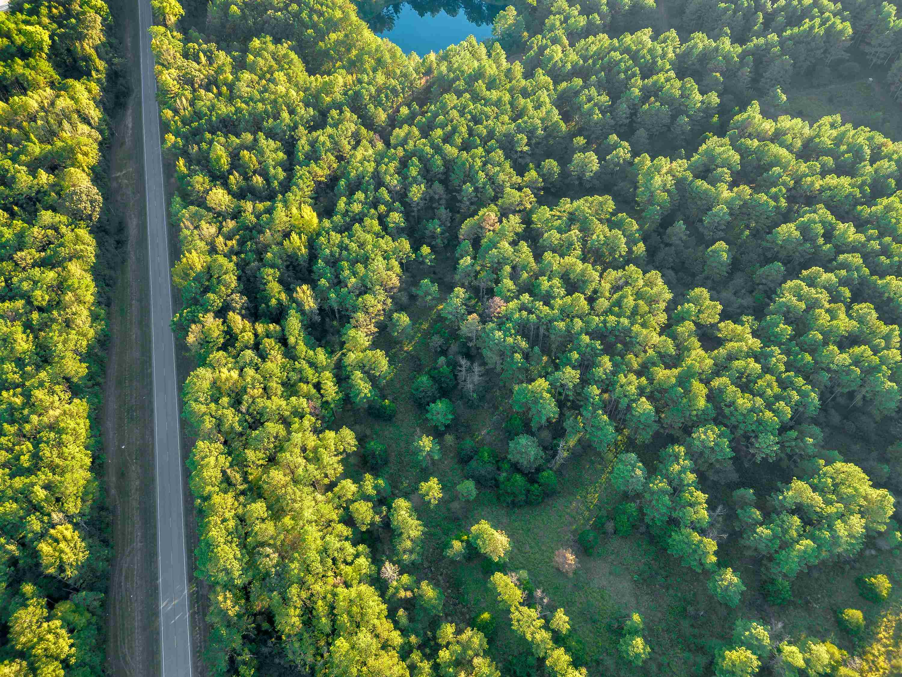 04 Hwy 13, Eldridge, AL 35554 — photo 1