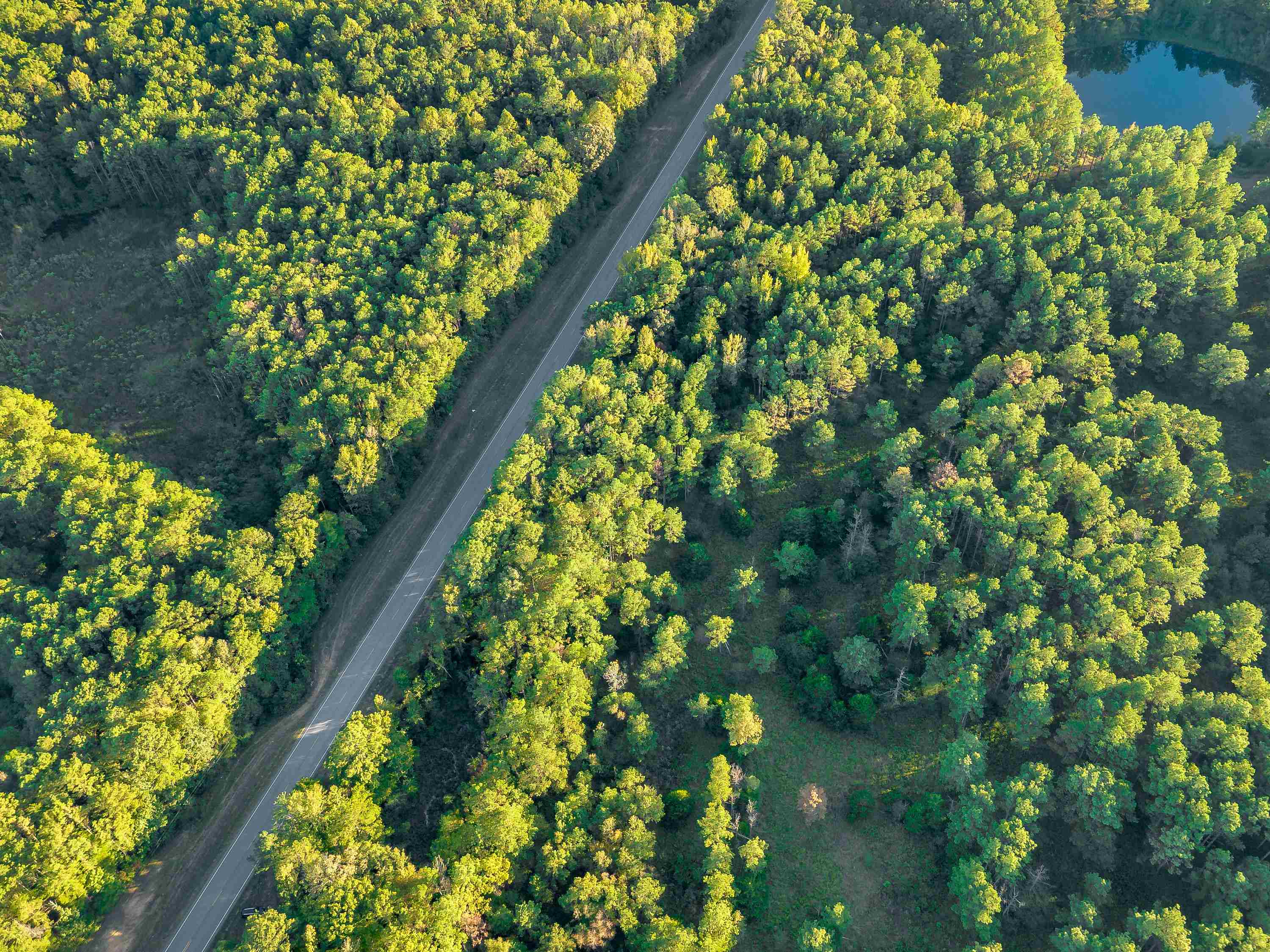 04 Hwy 13, Eldridge, AL 35554 — photo 12