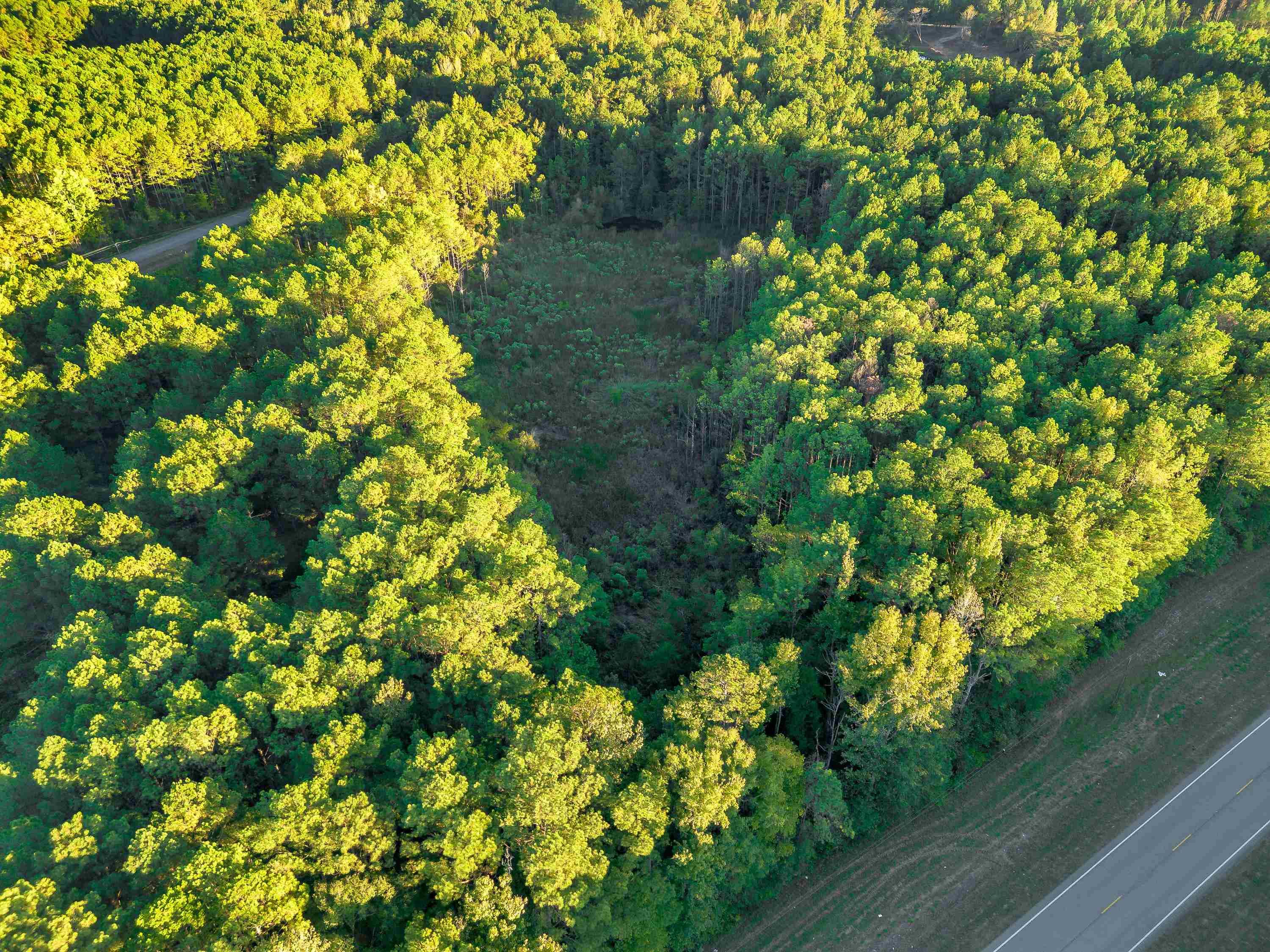 02 Hwy 13, Eldridge, AL 35554 — photo 1