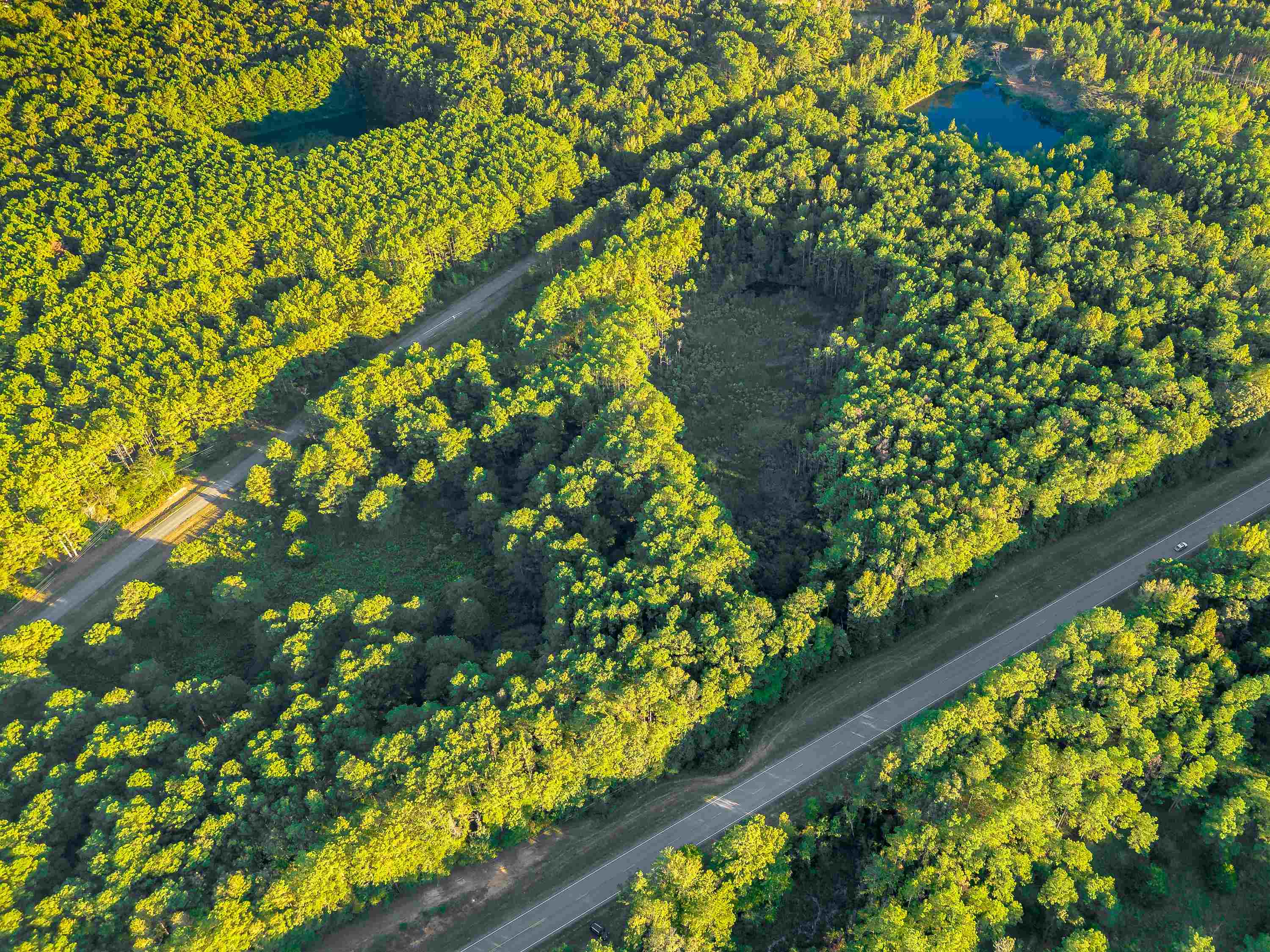 02 Hwy 13, Eldridge, AL 35554 — photo 2