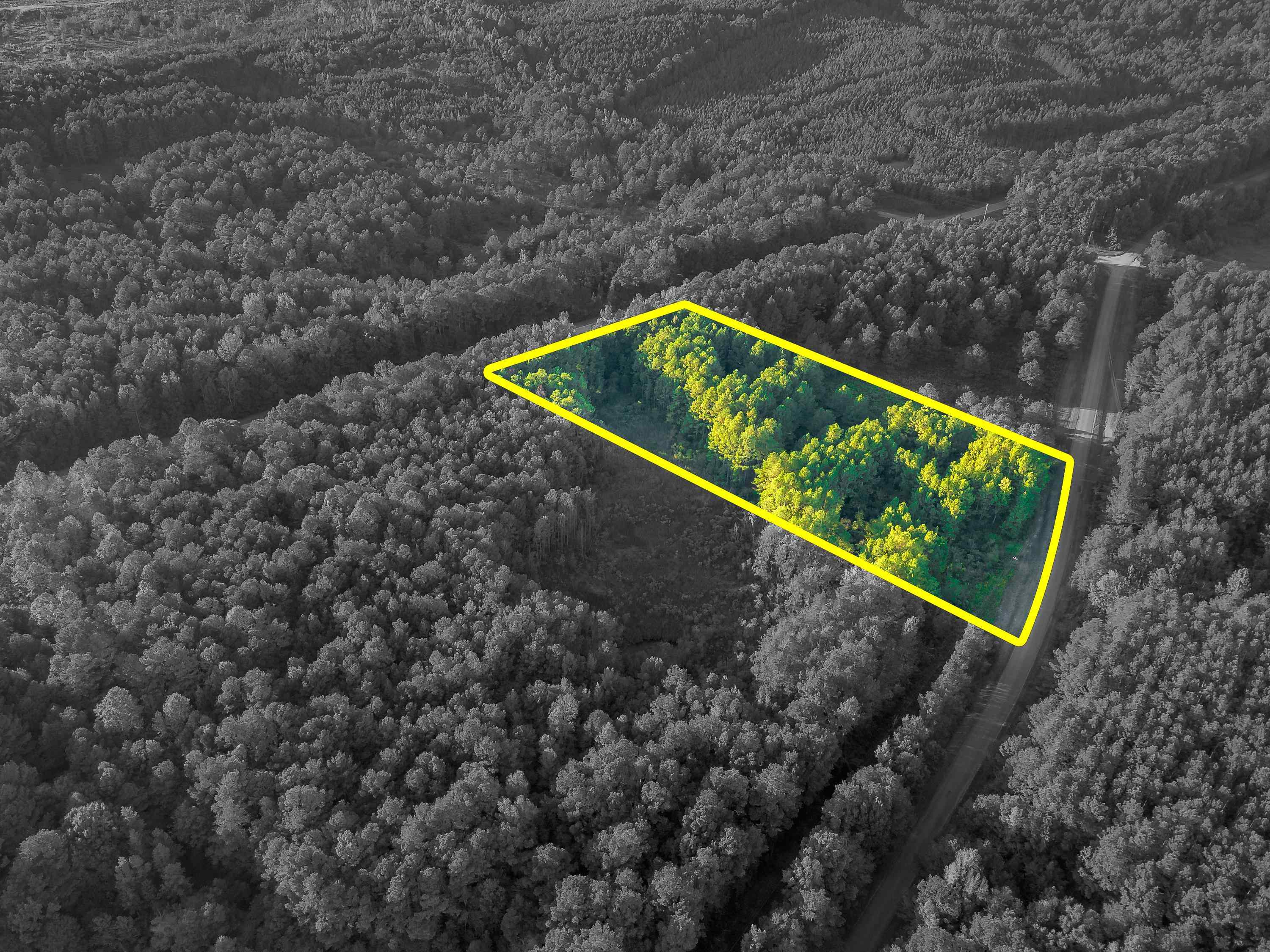 02 Hwy 13, Eldridge, AL 35554 — photo 11