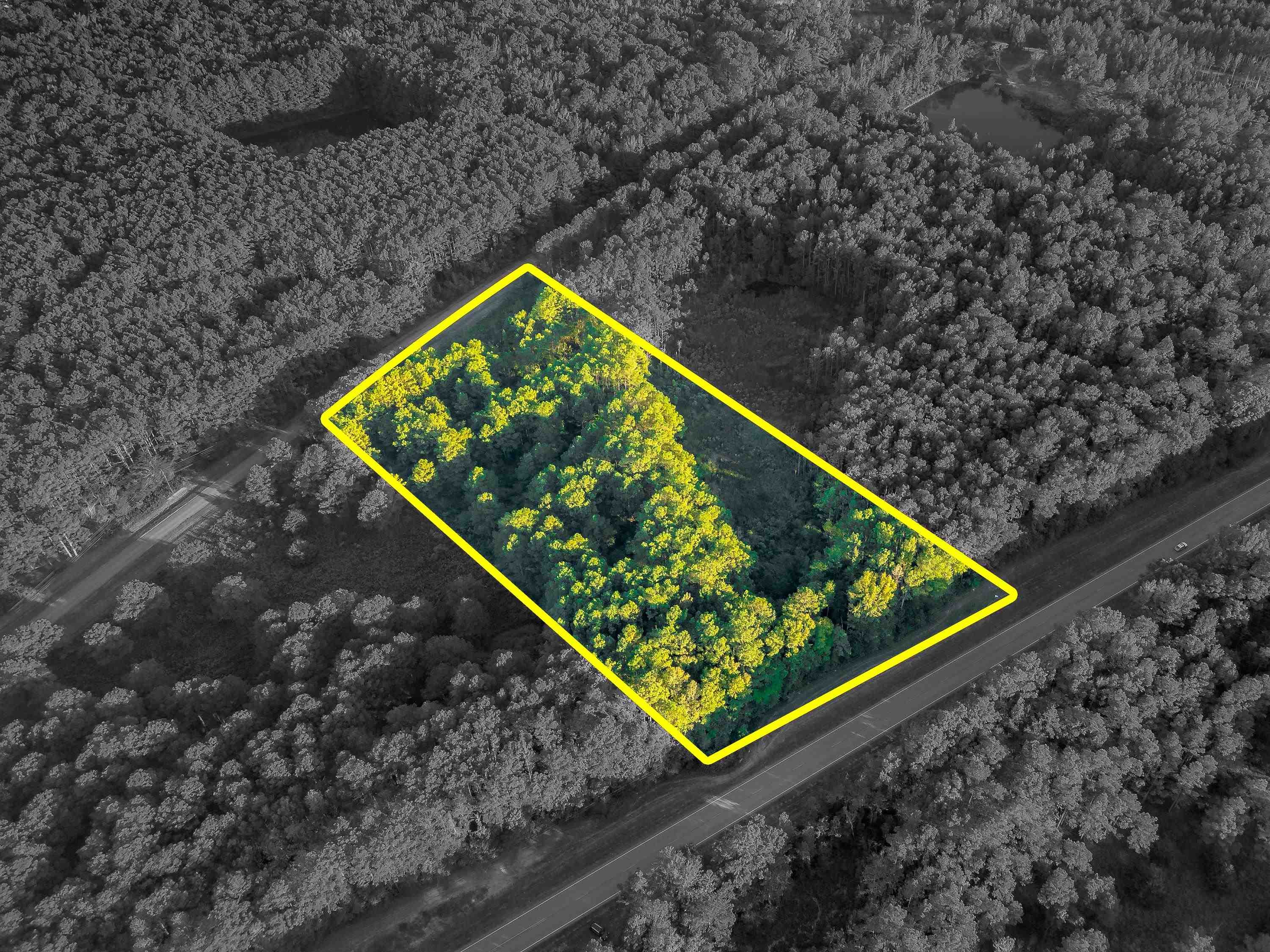 02 Hwy 13, Eldridge, AL 35554 — photo 3