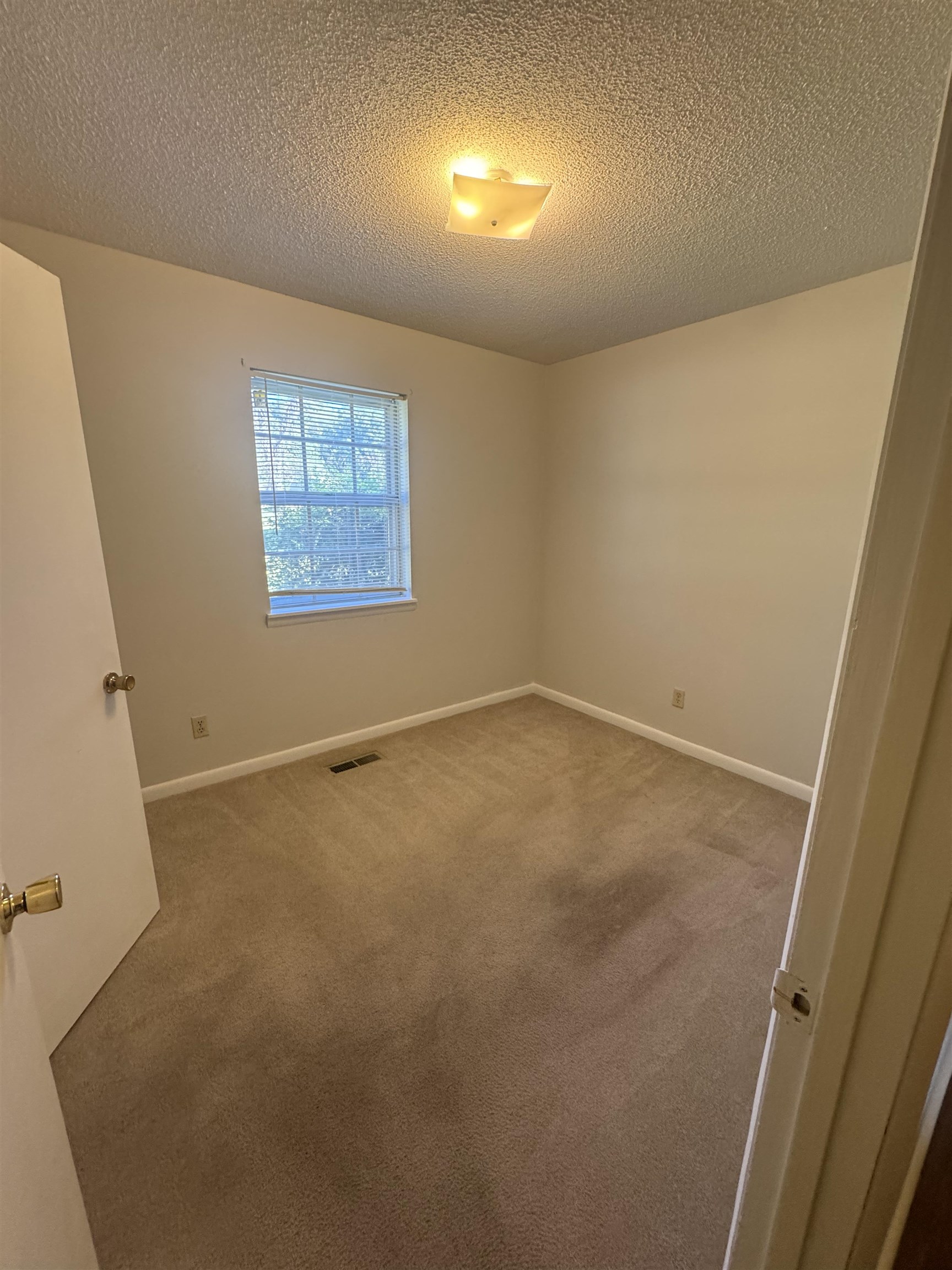 273 Hike Dr, Florence, AL 35633 — photo 11