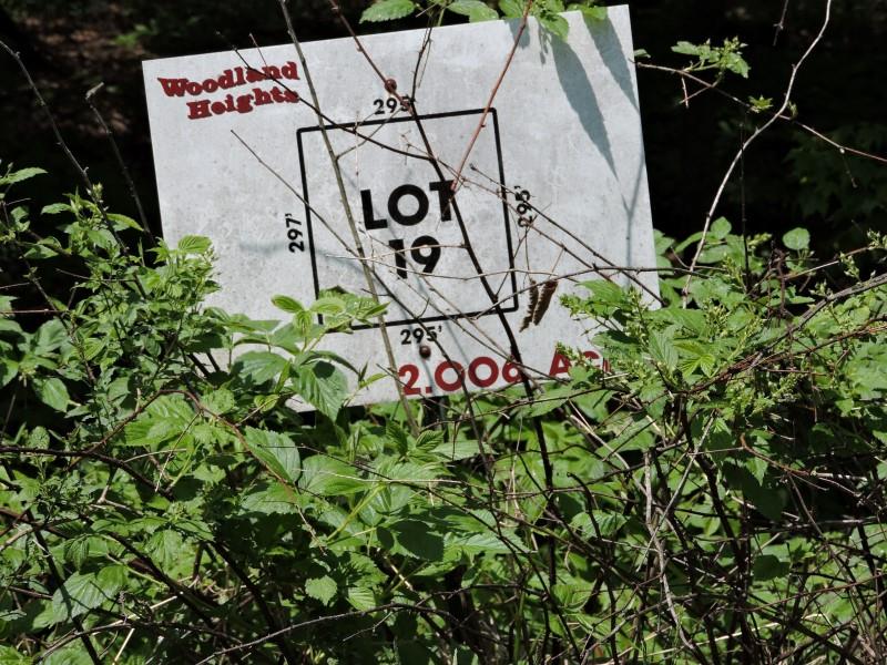 4781 TURKEY TRAIL, Amherst, Wisconsin 54406, ,Land,For Sale,4781 TURKEY TRAIL,1503119