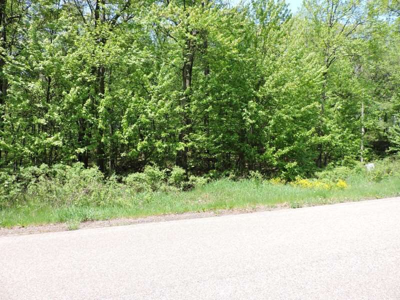 4781 TURKEY TRAIL, Amherst, Wisconsin 54406, ,Land,For Sale,4781 TURKEY TRAIL,1503119