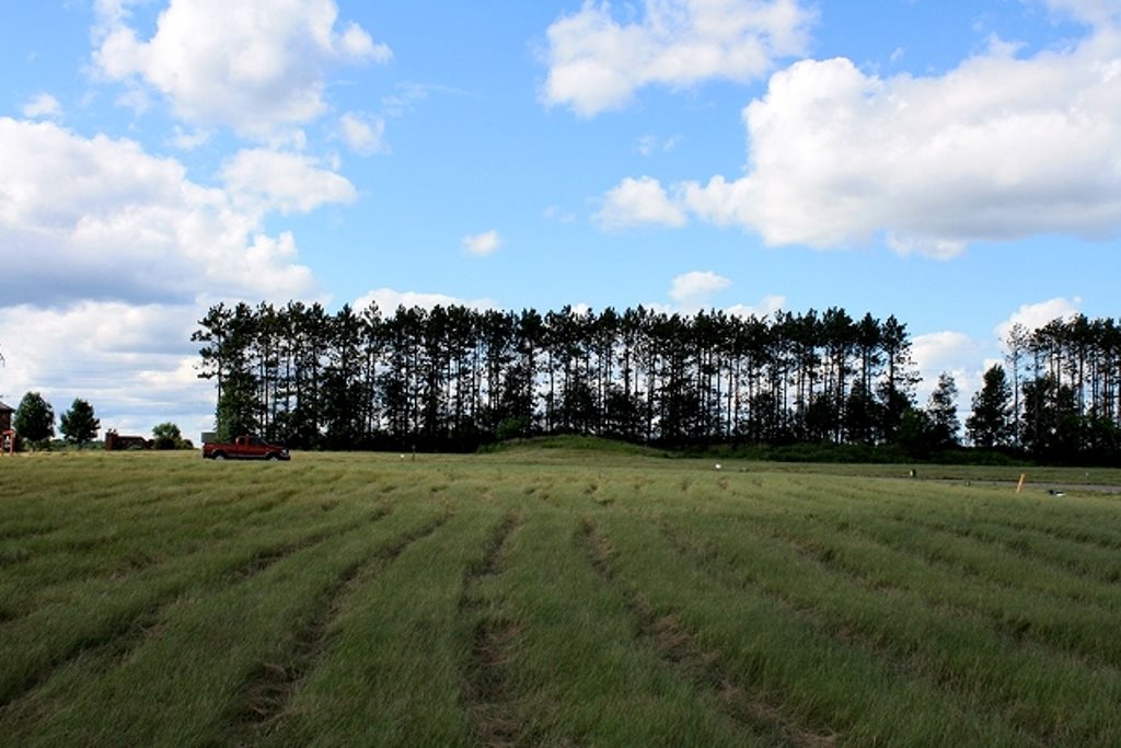 1401 BENT STICK DRIVE, Wausau, Wisconsin 54403, ,Land,For Sale,1401 BENT STICK DRIVE,1801719