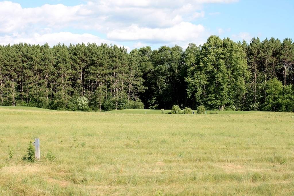 1401 BENT STICK DRIVE, Wausau, Wisconsin 54403, ,Land,For Sale,1401 BENT STICK DRIVE,1801719