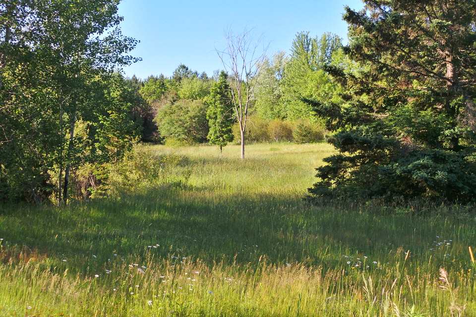 1338 S EIGHTH STREET, Medford, Wisconsin 54451, ,Commercial/industrial,For Sale,1338 S EIGHTH STREET,21807997