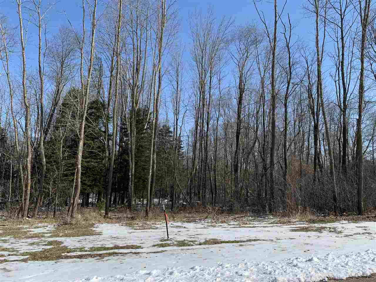 Lot 6 NICHOLAS AVENUE, Wittenberg, Wisconsin 54499, ,Land,For Sale,Lot 6 NICHOLAS AVENUE,22001719