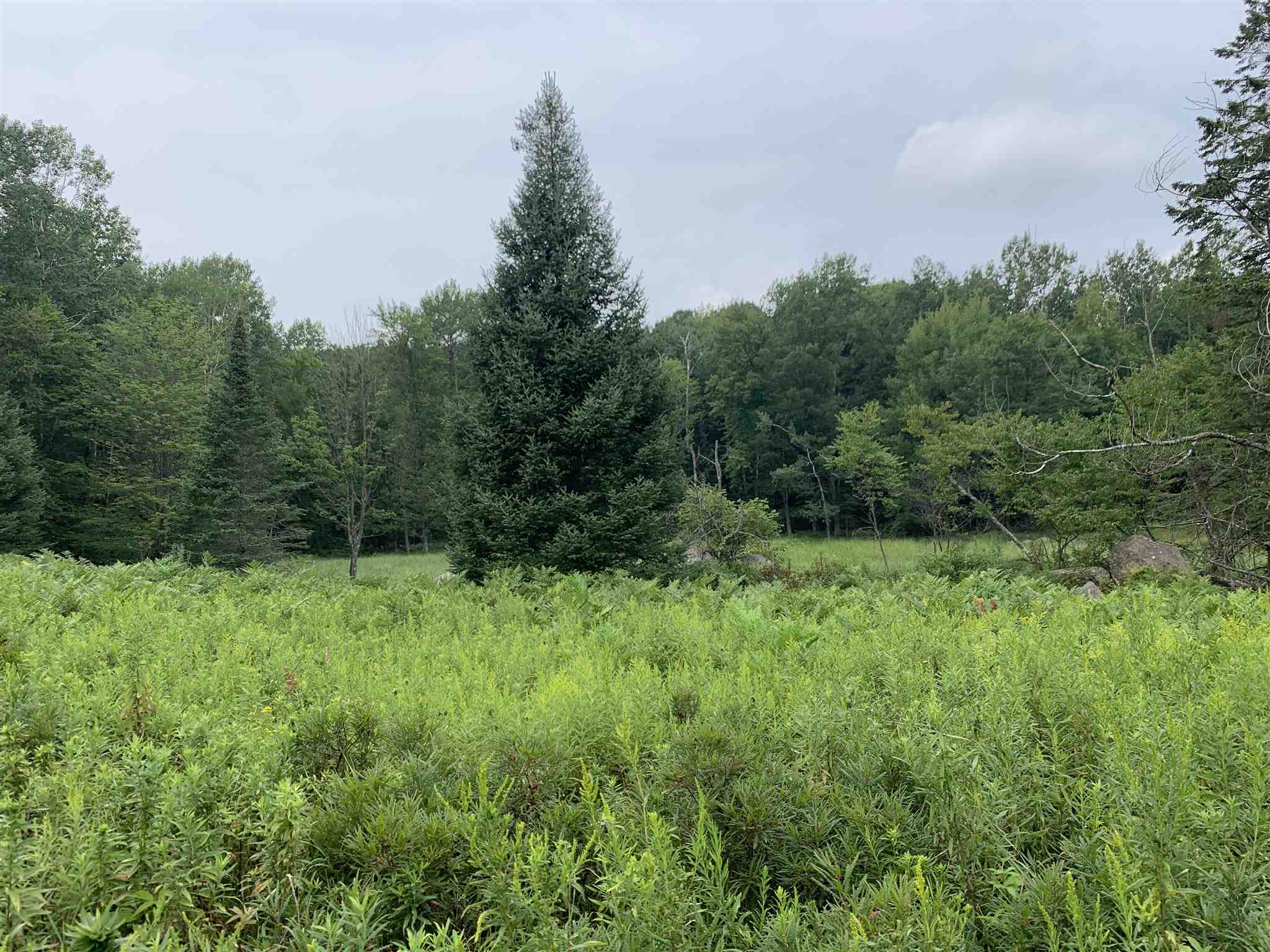178375 MISSION LAKE ROAD, Hatley, Wisconsin 54440, ,Land,For Sale,178375 MISSION LAKE ROAD,22104480