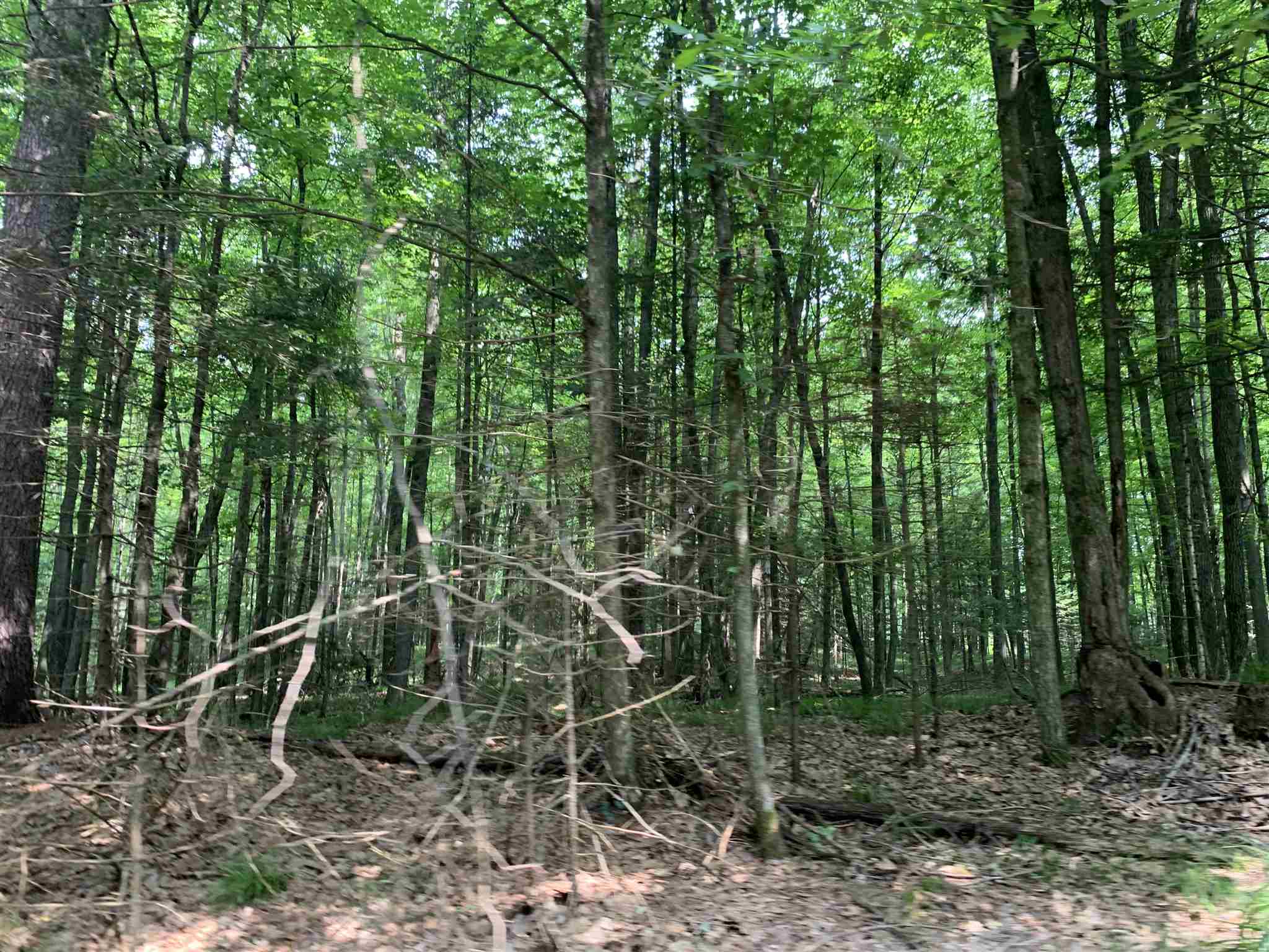 178375 MISSION LAKE ROAD, Hatley, Wisconsin 54440, ,Land,For Sale,178375 MISSION LAKE ROAD,22104480