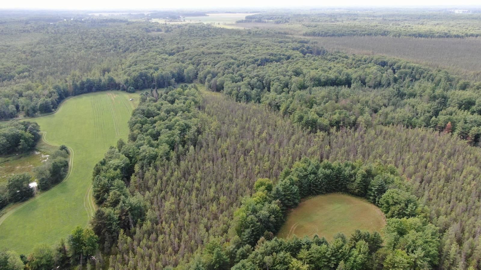 178375 MISSION LAKE ROAD, Hatley, Wisconsin 54440, ,Land,For Sale,178375 MISSION LAKE ROAD,22104480