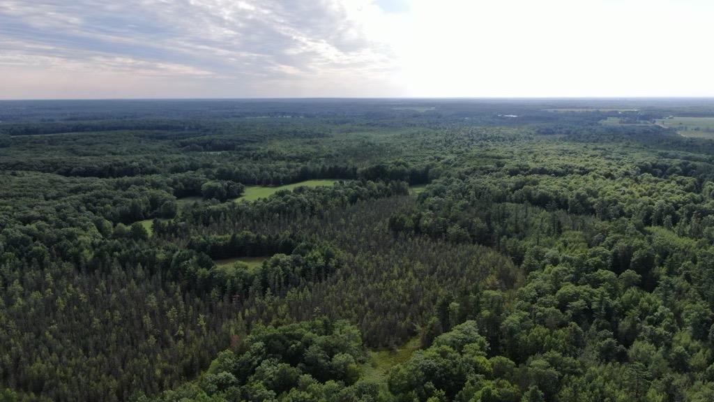 178375 MISSION LAKE ROAD, Hatley, Wisconsin 54440, ,Land,For Sale,178375 MISSION LAKE ROAD,22104480