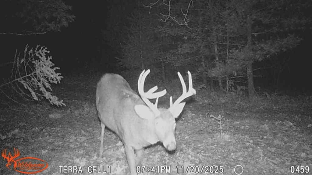 178375 MISSION LAKE ROAD, Hatley, Wisconsin 54440, ,Land,For Sale,178375 MISSION LAKE ROAD,22104480