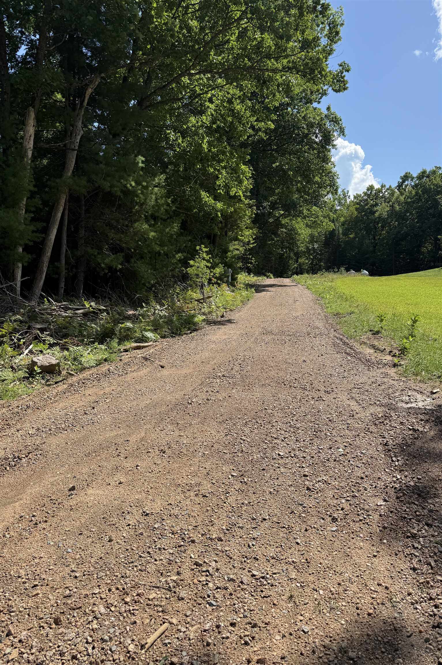 178375 MISSION LAKE ROAD, Hatley, Wisconsin 54440, ,Land,For Sale,178375 MISSION LAKE ROAD,22104480