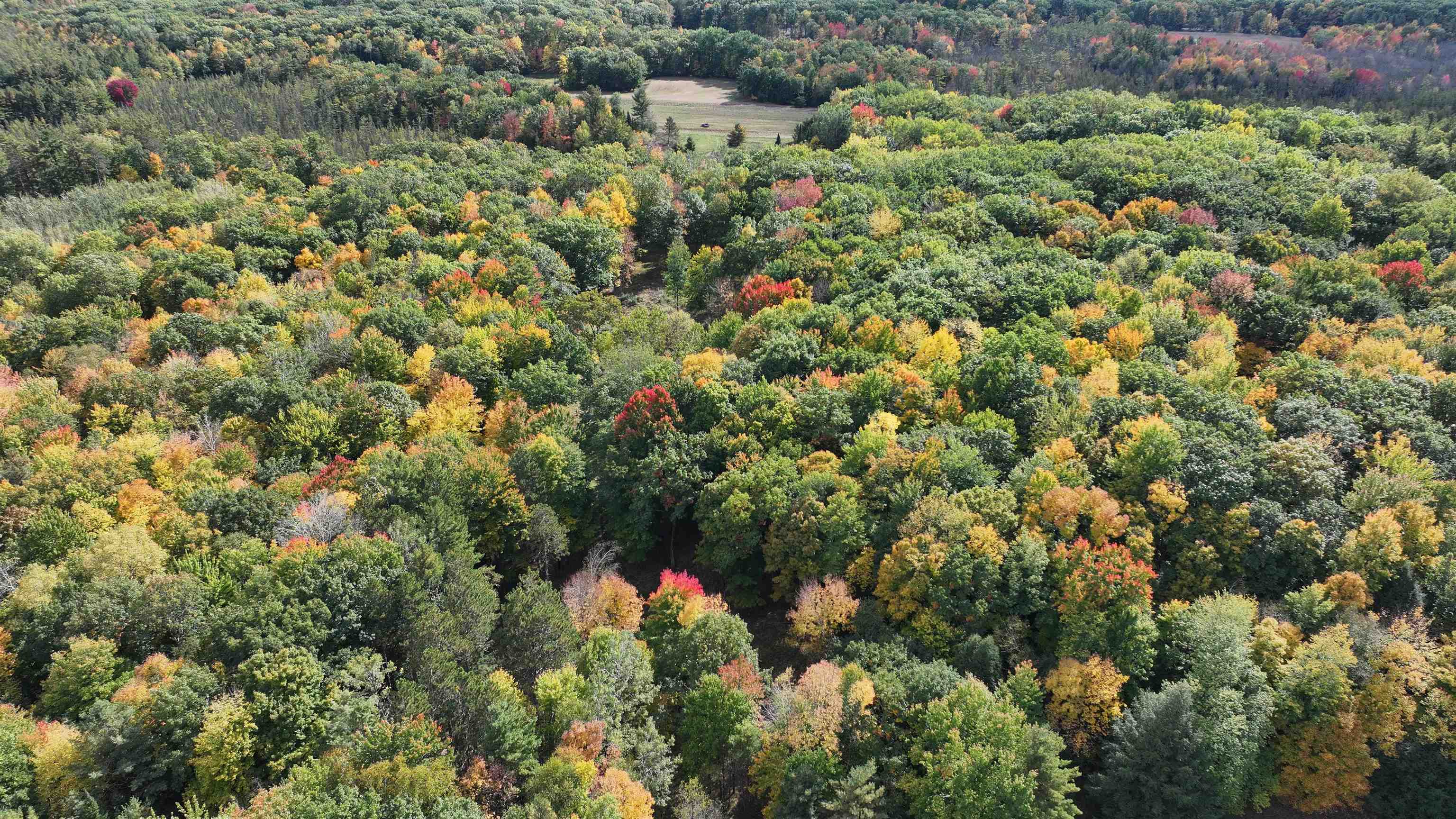178375 MISSION LAKE ROAD, Hatley, Wisconsin 54440, ,Land,For Sale,178375 MISSION LAKE ROAD,22104480