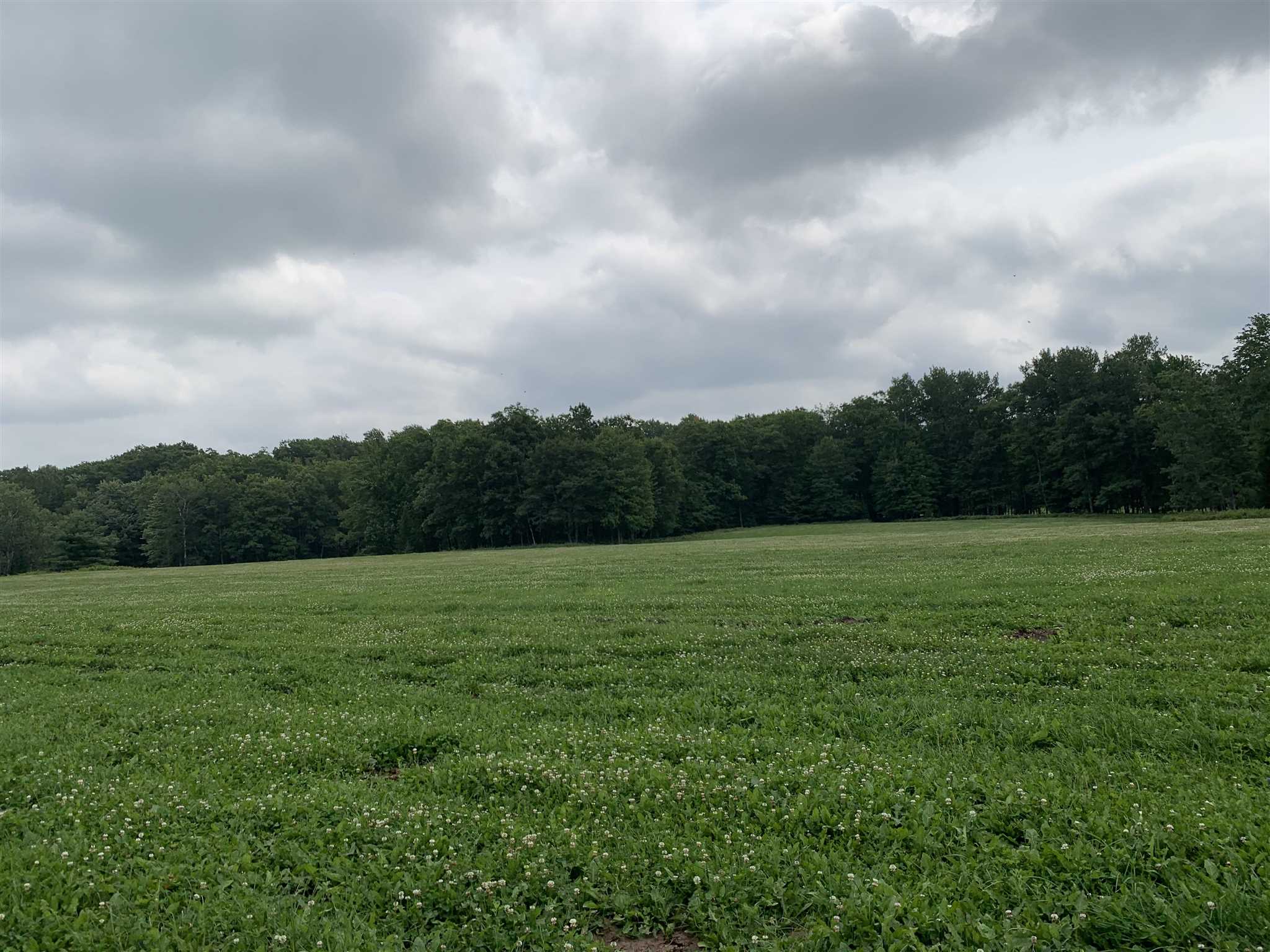 178375 MISSION LAKE ROAD, Hatley, Wisconsin 54440, ,Land,For Sale,178375 MISSION LAKE ROAD,22104480