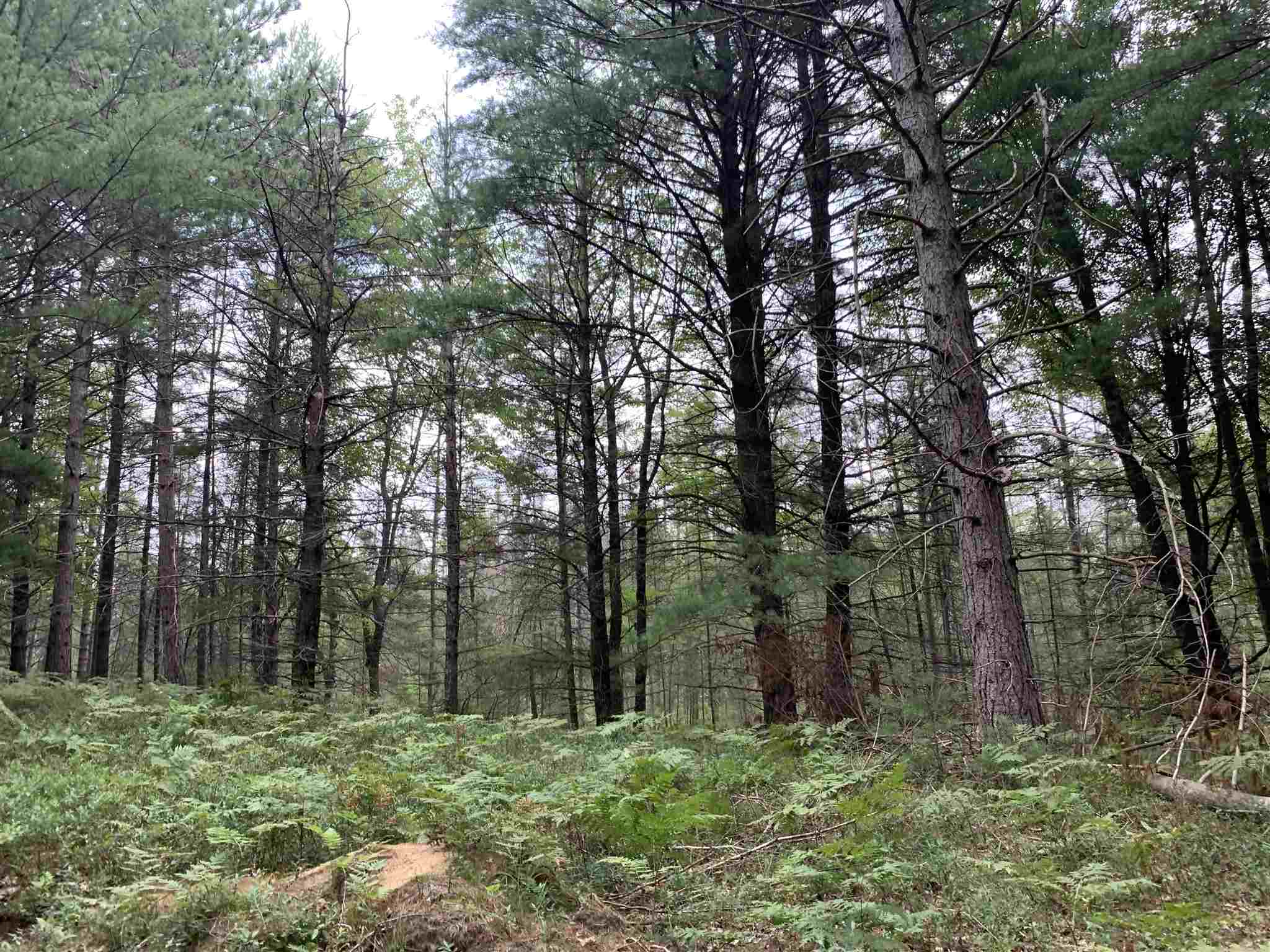 178375 MISSION LAKE ROAD, Hatley, Wisconsin 54440, ,Land,For Sale,178375 MISSION LAKE ROAD,22104480