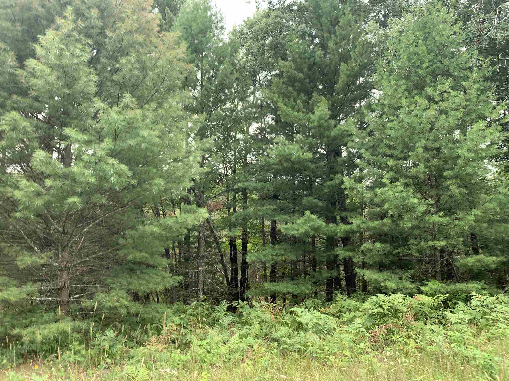 178375 MISSION LAKE ROAD, Hatley, Wisconsin 54440, ,Land,For Sale,178375 MISSION LAKE ROAD,22104480