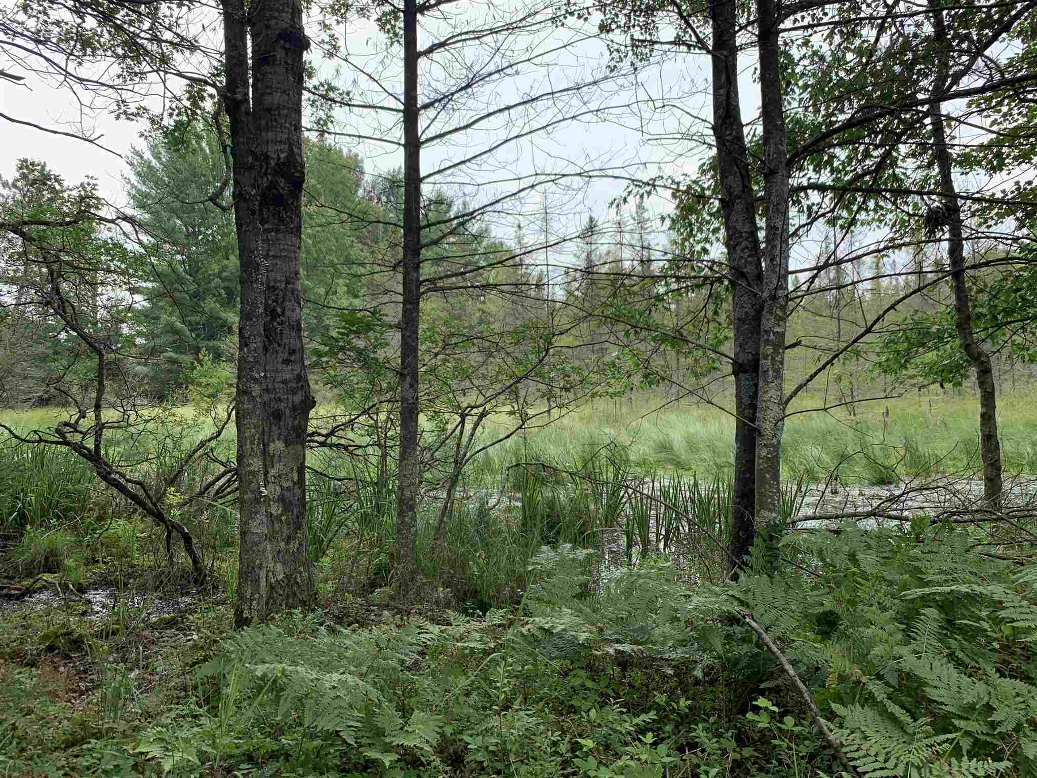 178375 MISSION LAKE ROAD, Hatley, Wisconsin 54440, ,Land,For Sale,178375 MISSION LAKE ROAD,22104480