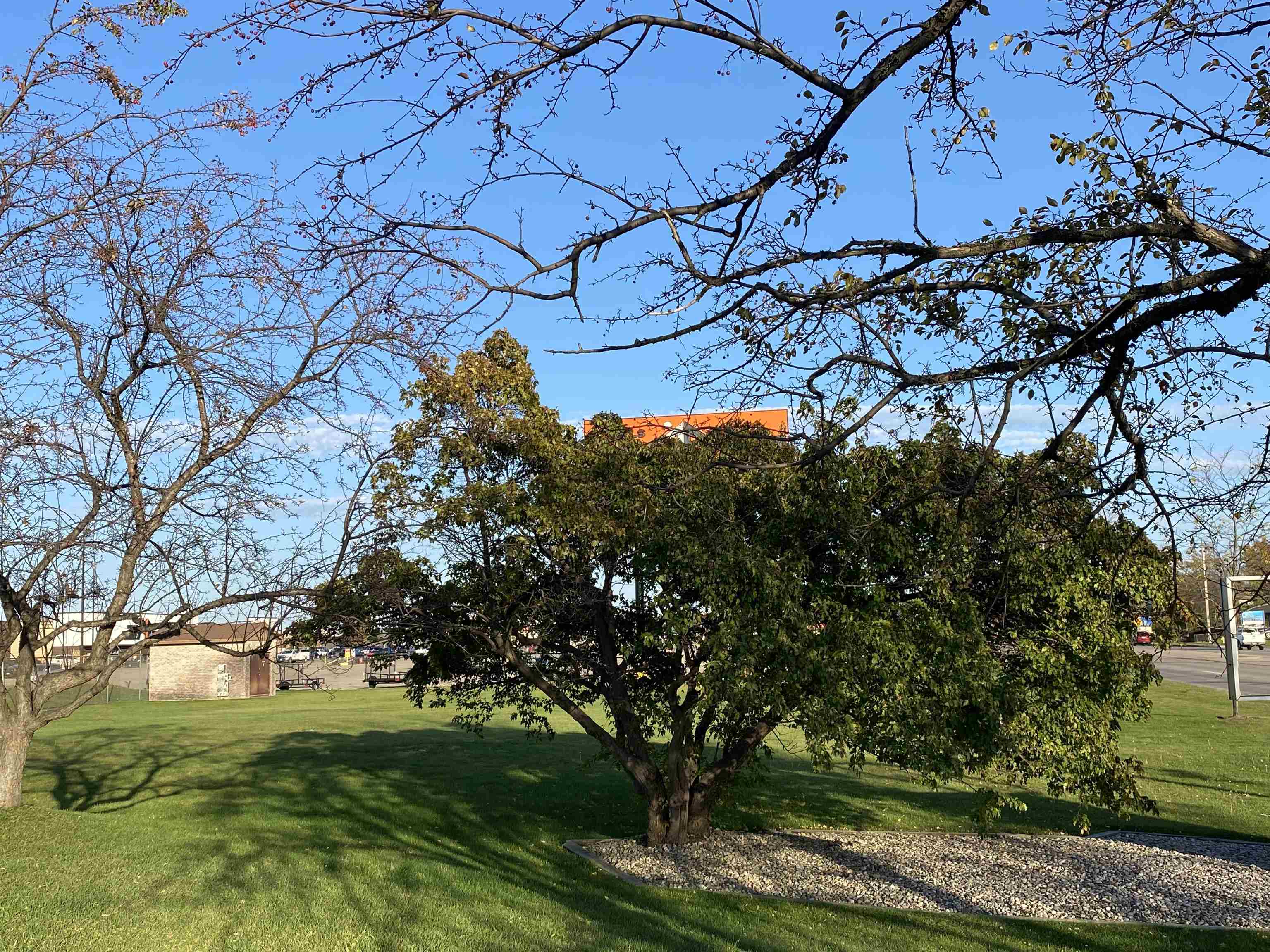 1305 WILDWOOD DRIVE, Stevens Point, Wisconsin 54482, ,Commercial/industrial,For Sale,1305 WILDWOOD DRIVE,22105979