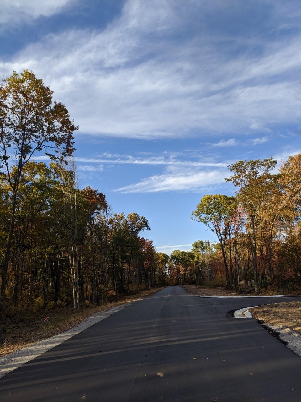 3119 WATERVIEW DRIVE, BIRON, Wisconsin 54494, ,Land,For Sale,3119 WATERVIEW DRIVE,22230436