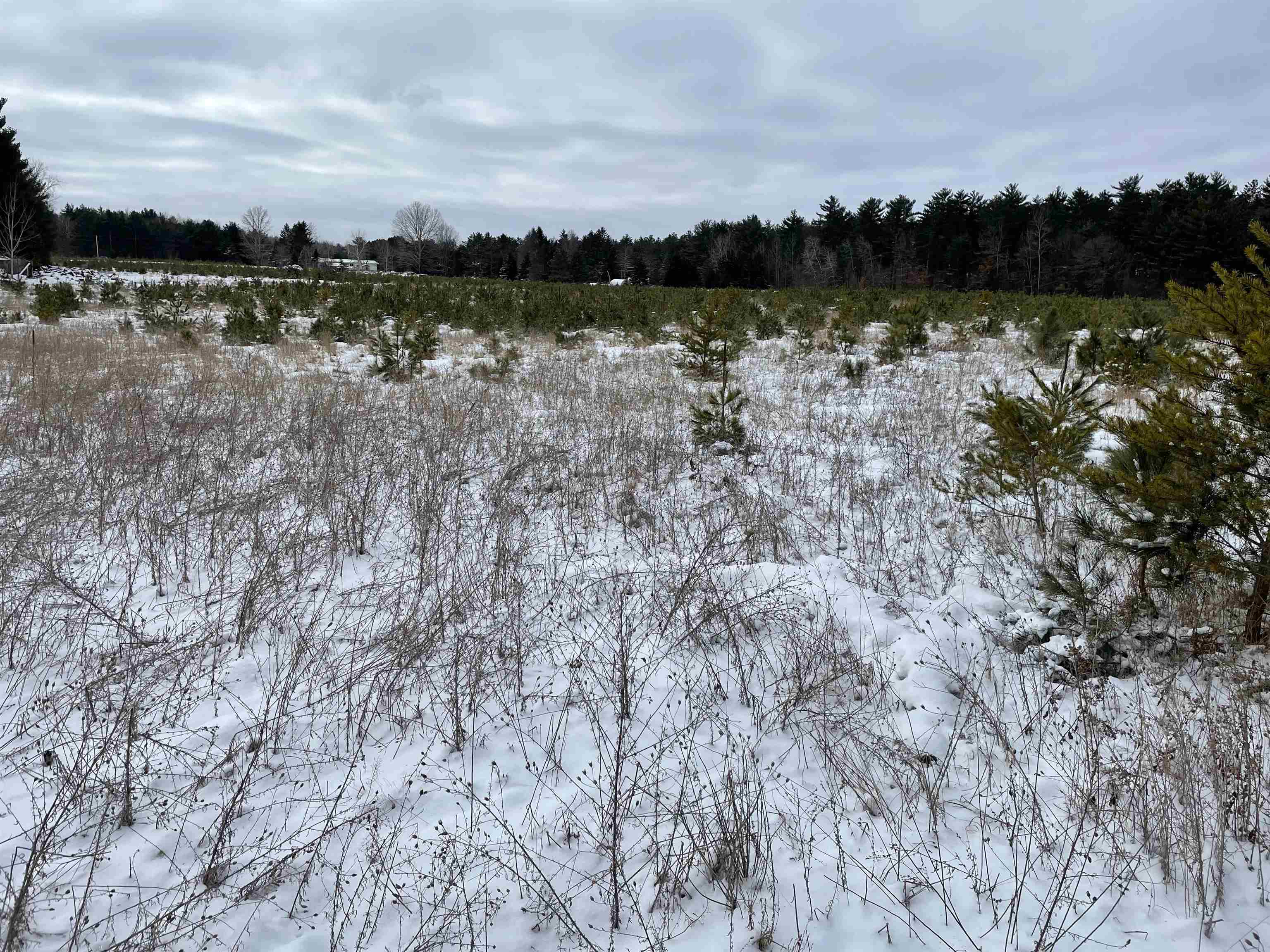 1066 MAPLE RIDGE ROAD, Mosinee, Wisconsin 54455, ,Land,For Sale,1066 MAPLE RIDGE ROAD,22230584