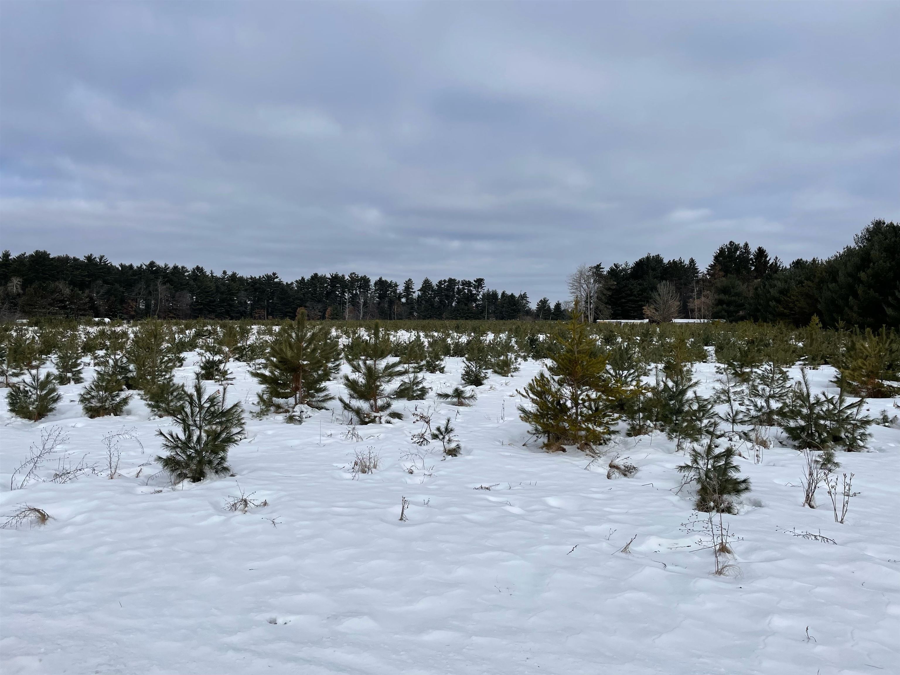 1066 MAPLE RIDGE ROAD, Mosinee, Wisconsin 54455, ,Land,For Sale,1066 MAPLE RIDGE ROAD,22230584