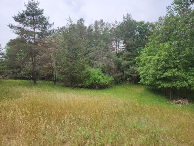 Lot 2 CRESTVIEW LANE, Nekoosa, Wisconsin 54457, ,Land,For Sale,Lot 2 CRESTVIEW LANE,22232409