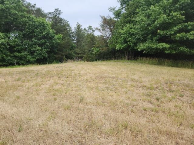 Lot 2 CRESTVIEW LANE, Nekoosa, Wisconsin 54457, ,Land,For Sale,Lot 2 CRESTVIEW LANE,22232409