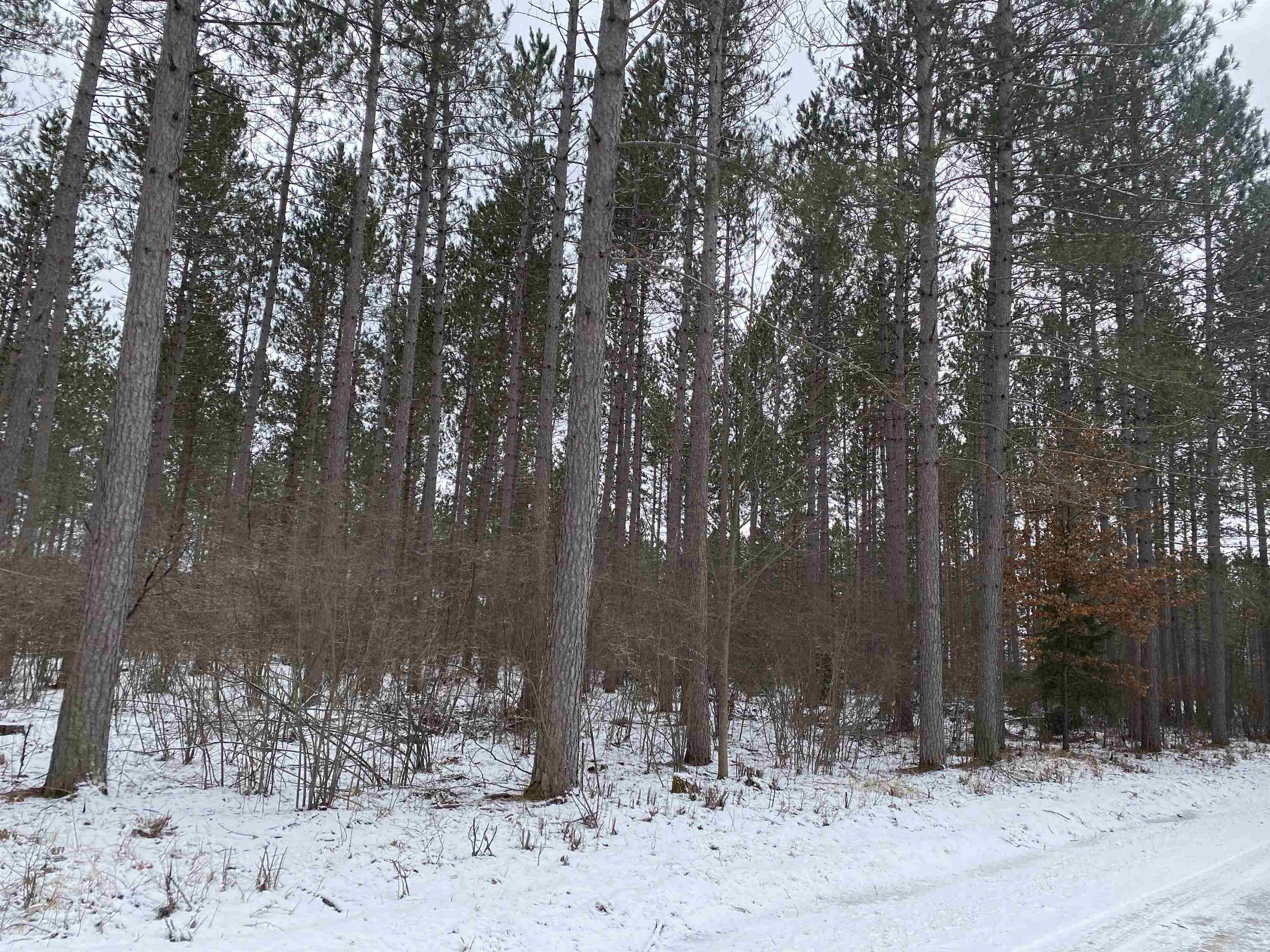 ON RIVER ROAD WEST, Tomahawk, Wisconsin 54487, ,Land,For Sale,ON RIVER ROAD WEST,22232457