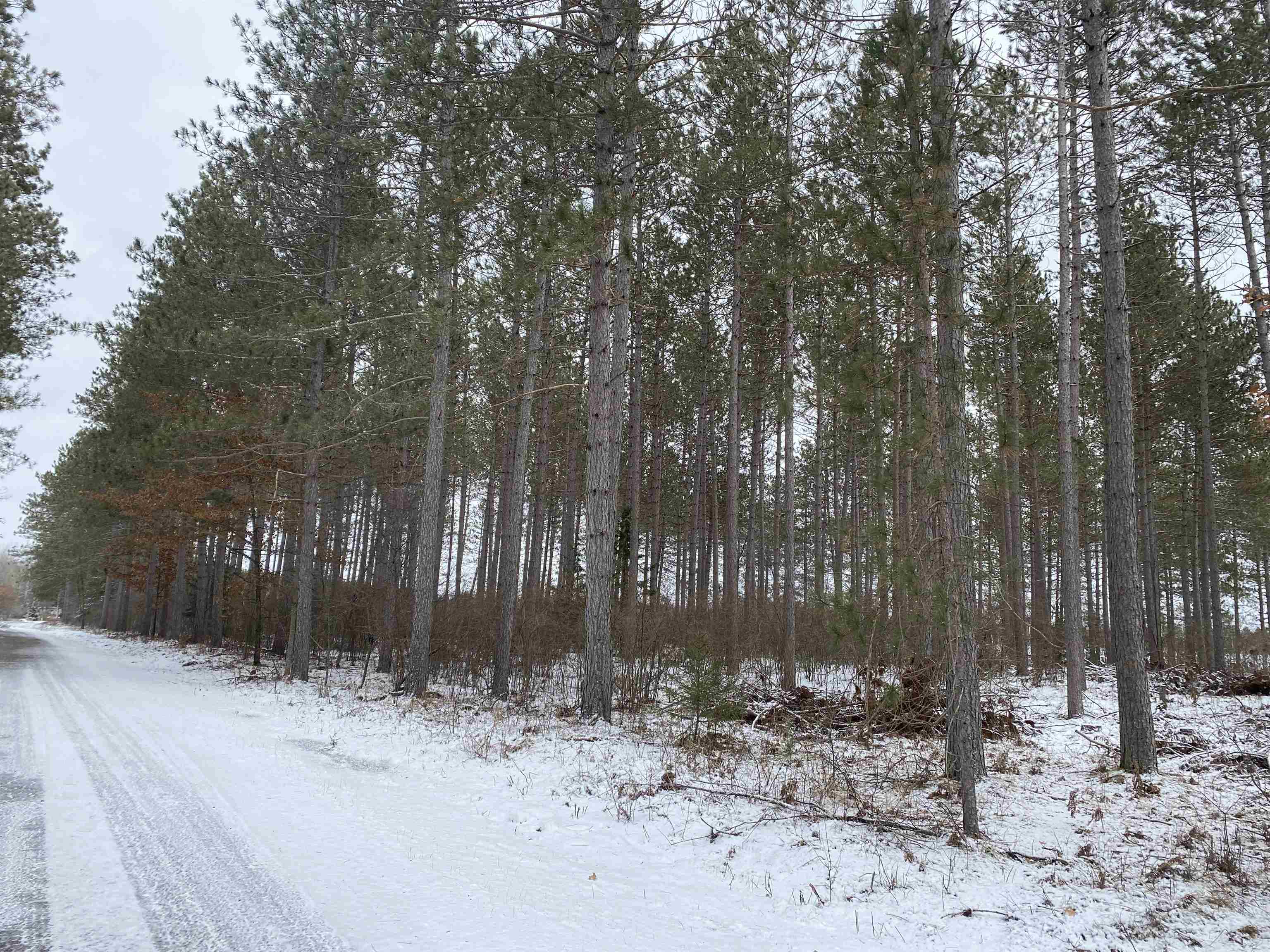 ON RIVER ROAD WEST, Tomahawk, Wisconsin 54487, ,Land,For Sale,ON RIVER ROAD WEST,22232457