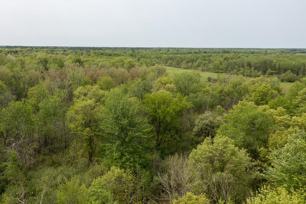 Lot 3 80TH STREET NORTH, Wisconsin Rapids, Wisconsin 54494, ,Land,For Sale,Lot 3 80TH STREET NORTH,22232659