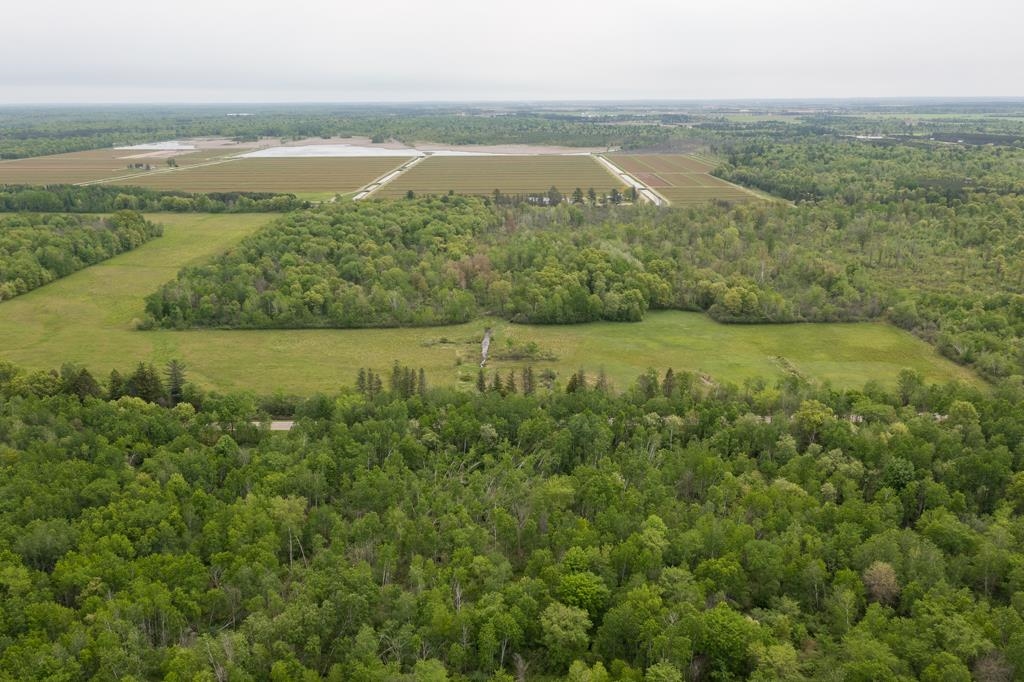 Lot 4 80TH STREET NORTH, Wisconsin Rapids, Wisconsin 54494, ,Land,For Sale,Lot 4 80TH STREET NORTH,22232660