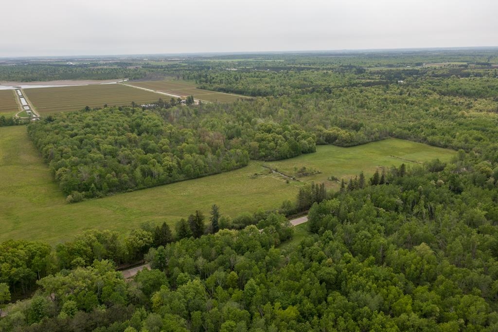 Lot 4 80TH STREET NORTH, Wisconsin Rapids, Wisconsin 54494, ,Land,For Sale,Lot 4 80TH STREET NORTH,22232660