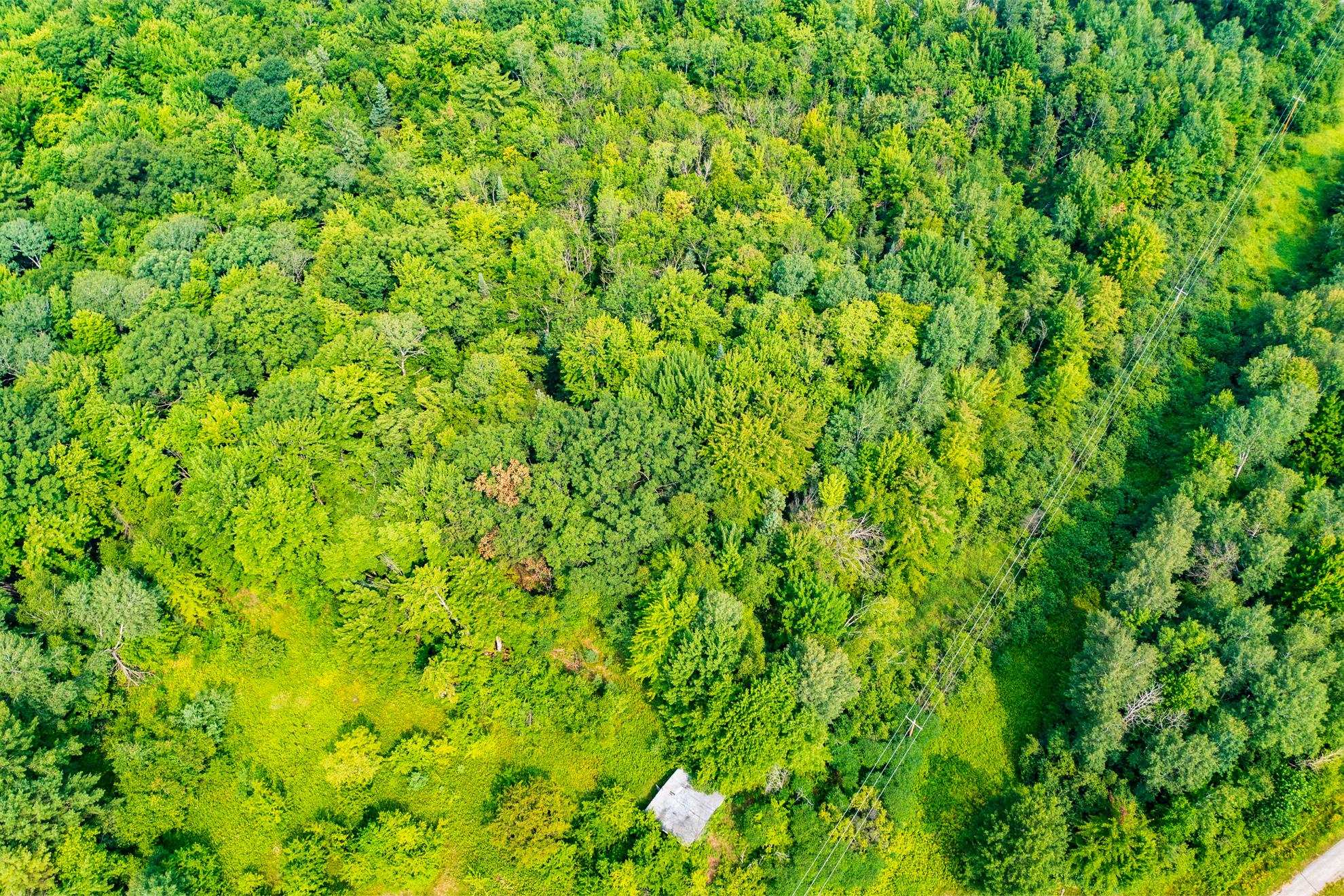 9404 CAMP PHILLIPS ROAD, Weston, Wisconsin 54476, ,Land,For Sale,9404 CAMP PHILLIPS ROAD,22233154