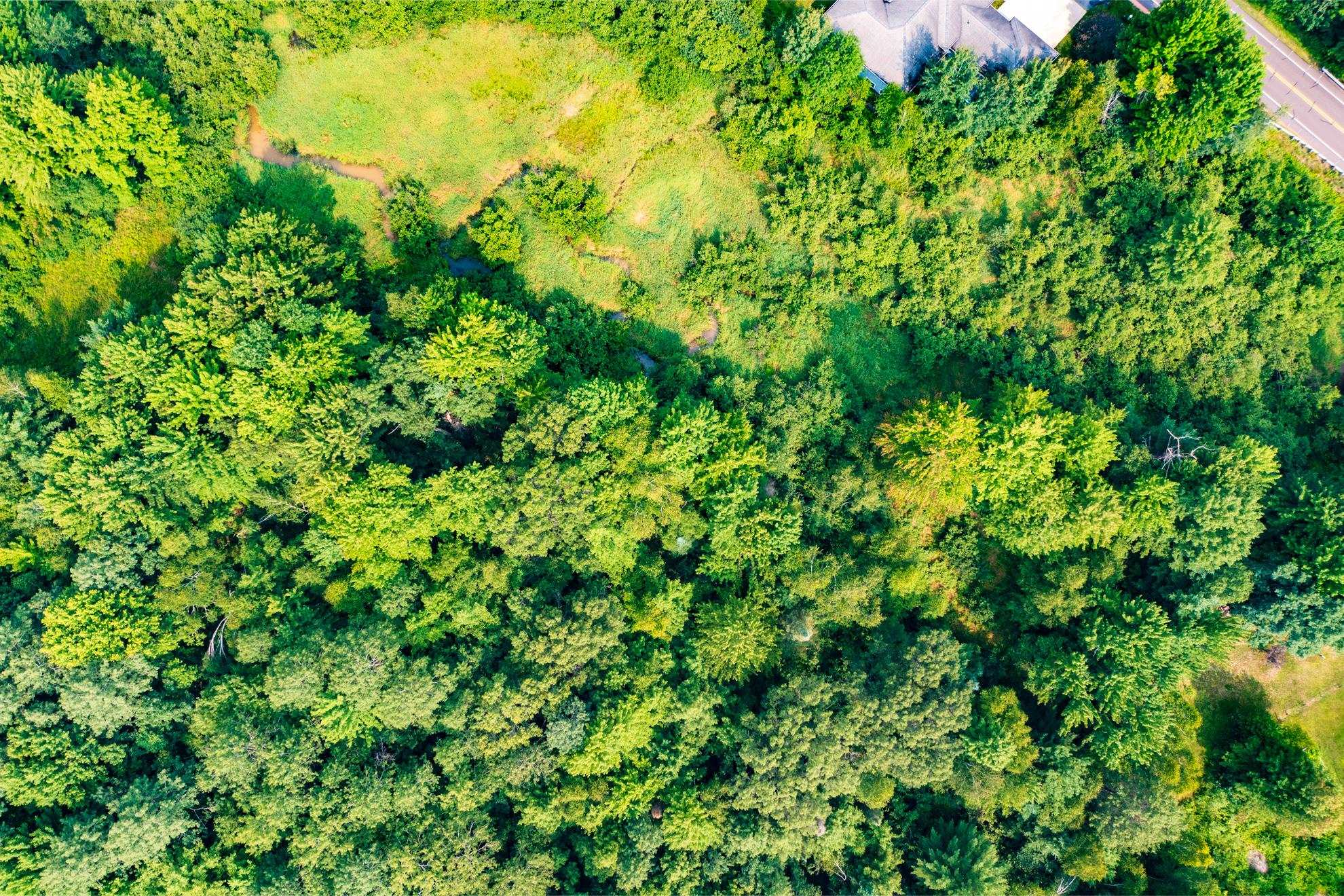 9404 CAMP PHILLIPS ROAD, Weston, Wisconsin 54476, ,Land,For Sale,9404 CAMP PHILLIPS ROAD,22233154