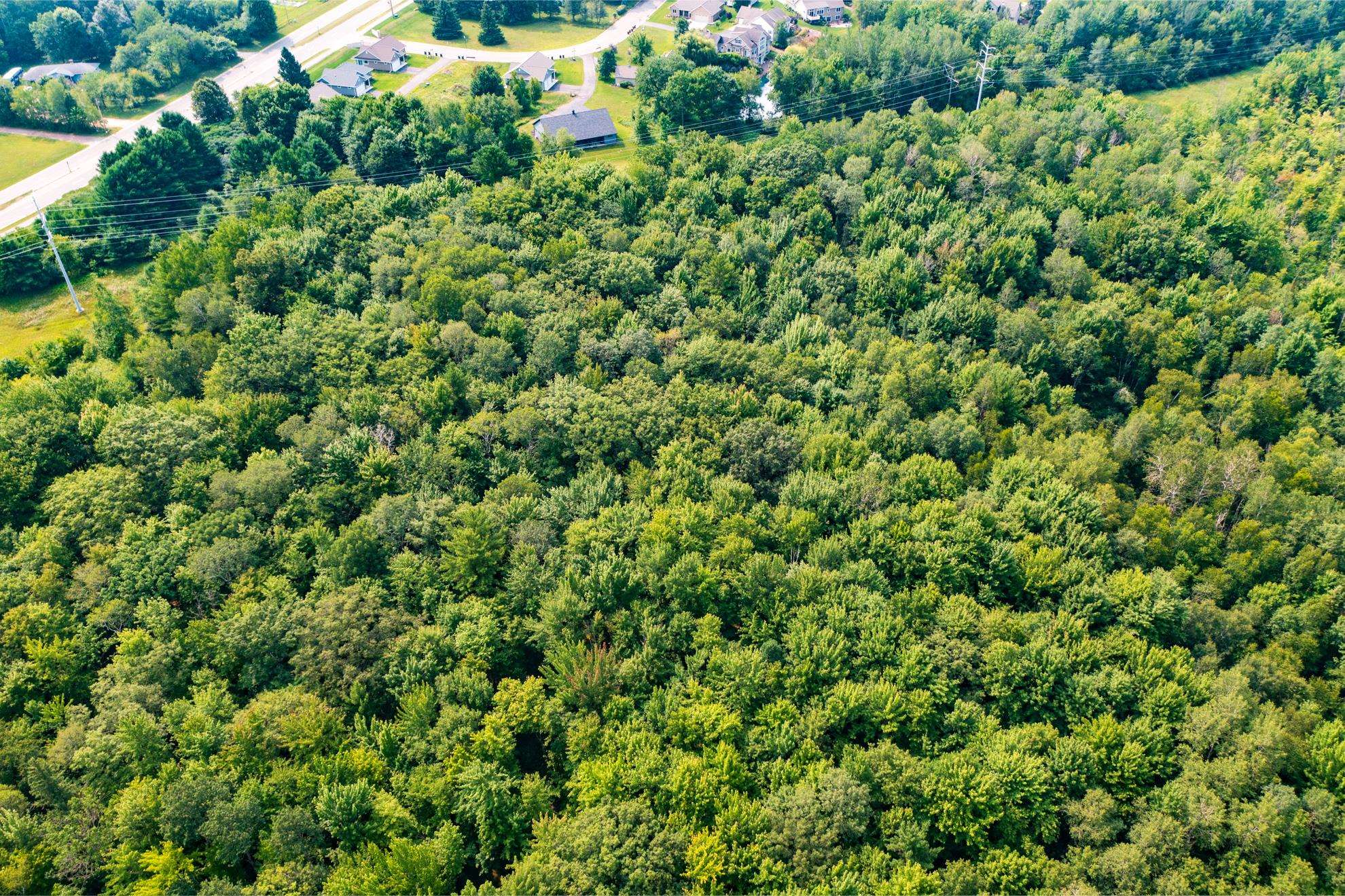 9404 CAMP PHILLIPS ROAD, Weston, Wisconsin 54476, ,Land,For Sale,9404 CAMP PHILLIPS ROAD,22233154