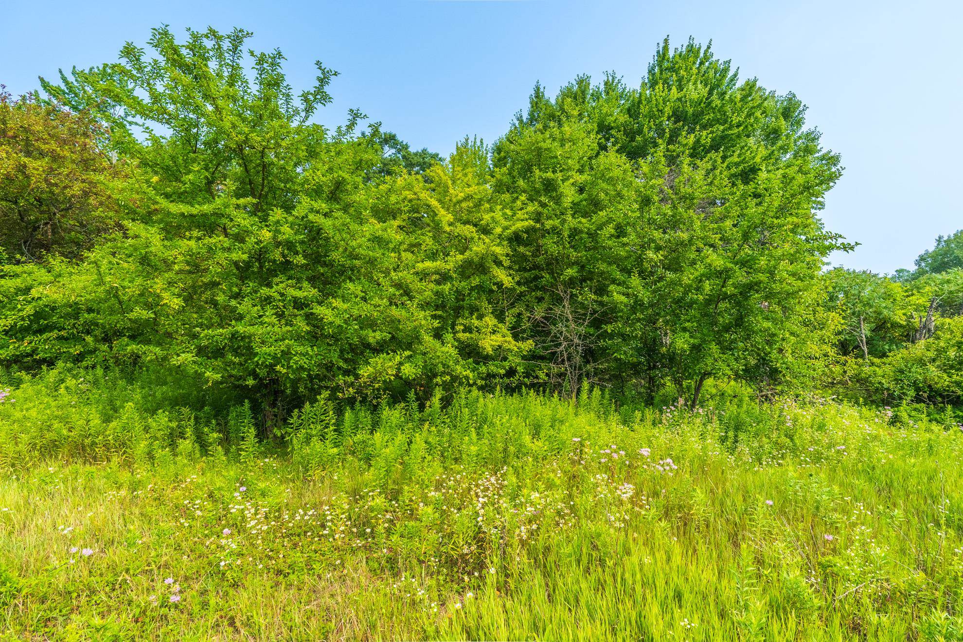 9404 CAMP PHILLIPS ROAD, Weston, Wisconsin 54476, ,Land,For Sale,9404 CAMP PHILLIPS ROAD,22233154
