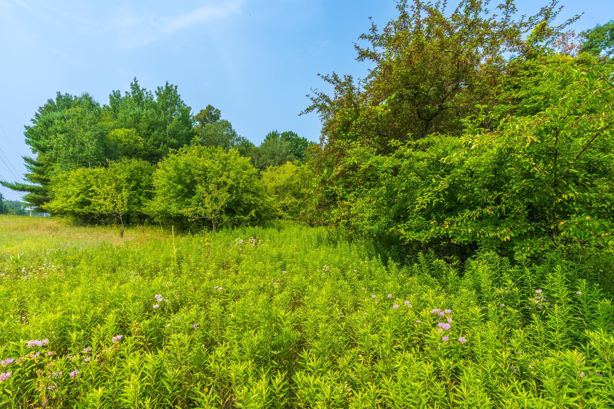 9404 CAMP PHILLIPS ROAD, Weston, Wisconsin 54476, ,Land,For Sale,9404 CAMP PHILLIPS ROAD,22233154