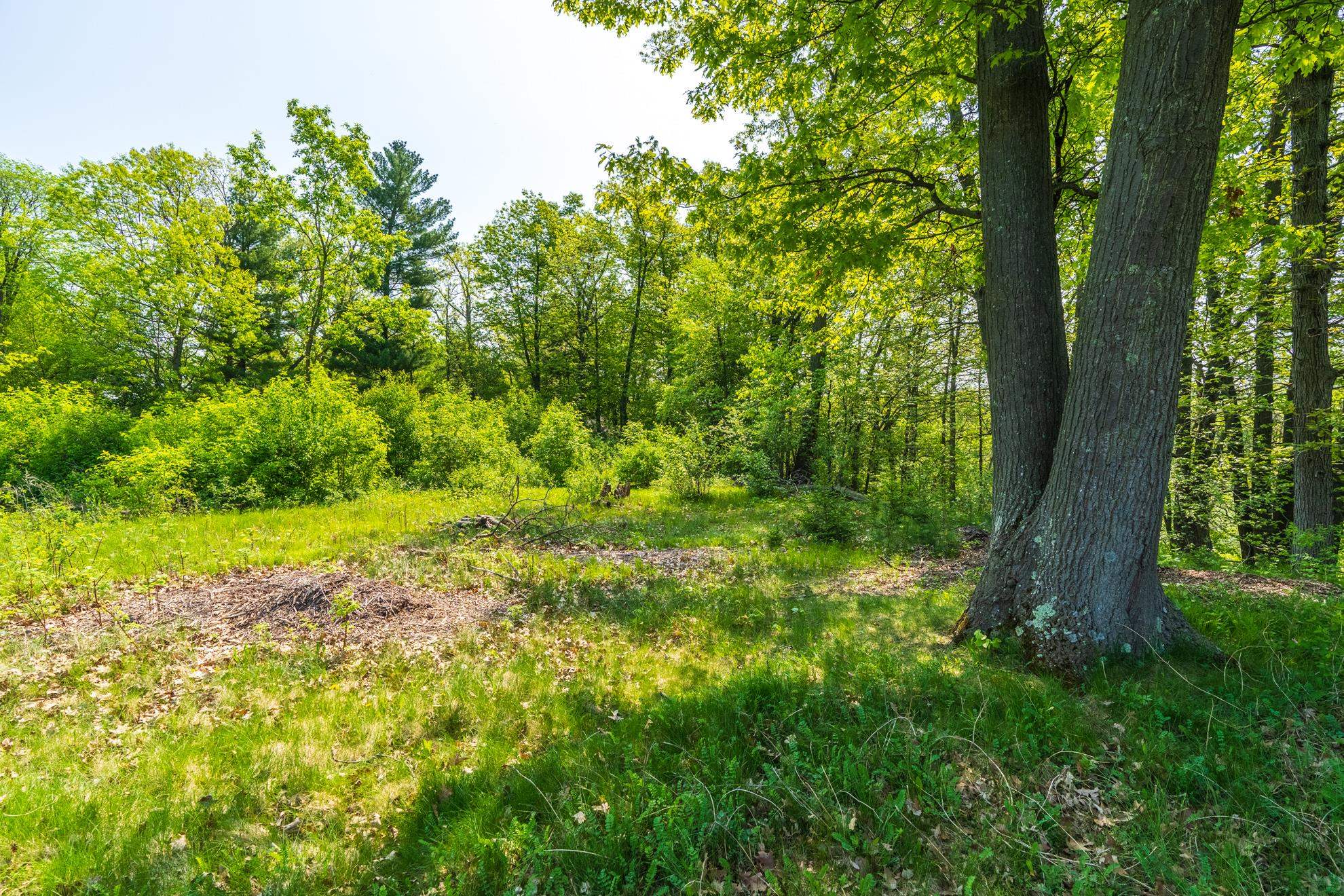 1601 CHELLIS STREET, Wausau, Wisconsin 54401, ,Land,For Sale,1601 CHELLIS STREET,22234535