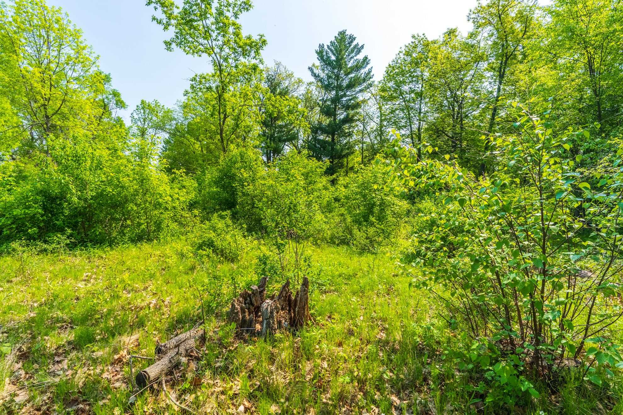 1601 CHELLIS STREET, Wausau, Wisconsin 54401, ,Land,For Sale,1601 CHELLIS STREET,22234535