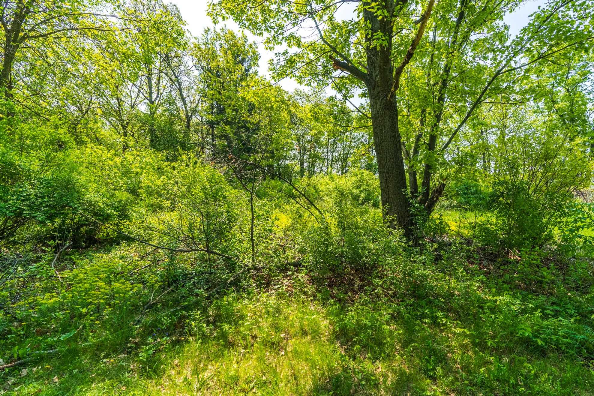 1601 CHELLIS STREET, Wausau, Wisconsin 54401, ,Land,For Sale,1601 CHELLIS STREET,22234535