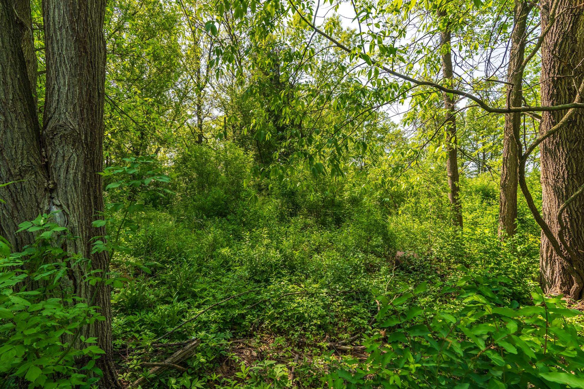 1601 CHELLIS STREET, Wausau, Wisconsin 54401, ,Land,For Sale,1601 CHELLIS STREET,22234535