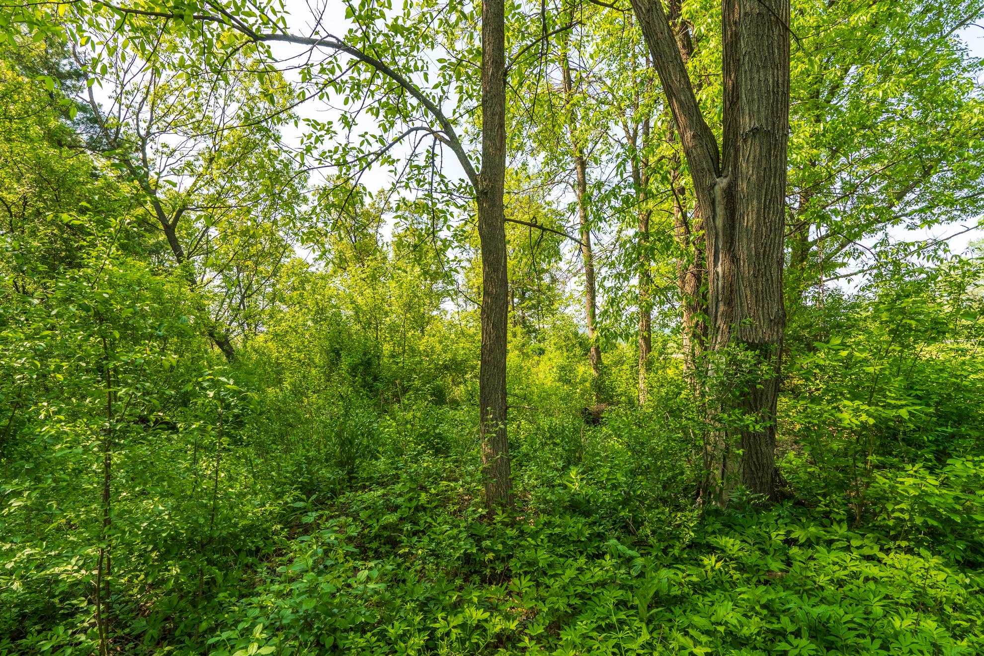 1601 CHELLIS STREET, Wausau, Wisconsin 54401, ,Land,For Sale,1601 CHELLIS STREET,22234535