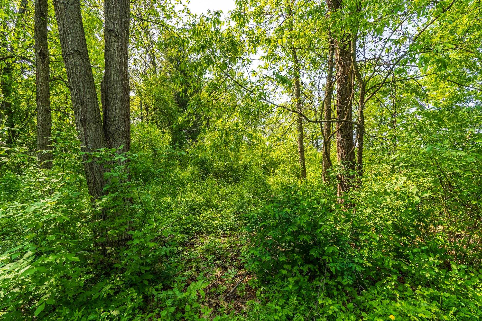 1601 CHELLIS STREET, Wausau, Wisconsin 54401, ,Land,For Sale,1601 CHELLIS STREET,22234535