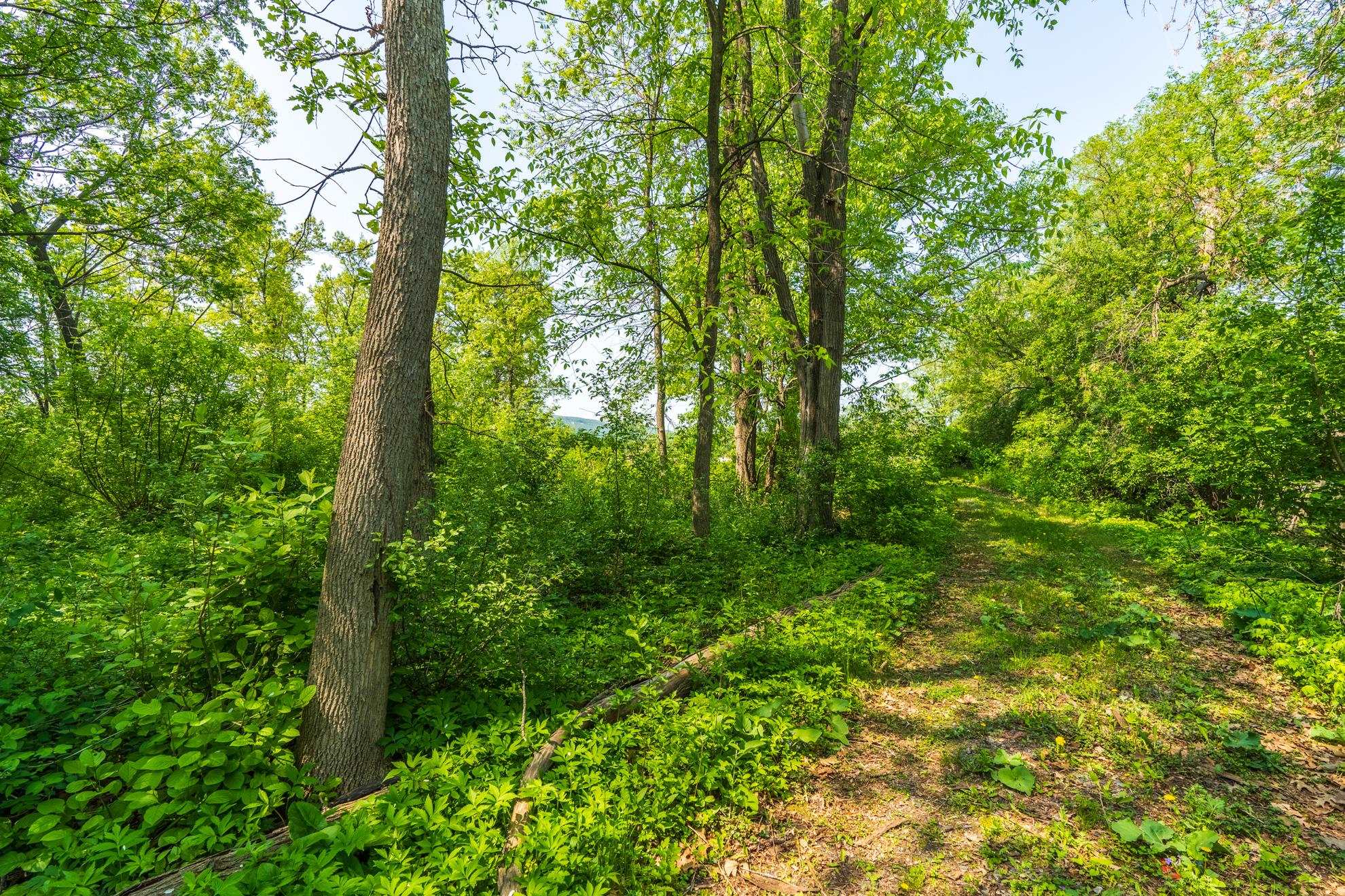 1601 CHELLIS STREET, Wausau, Wisconsin 54401, ,Land,For Sale,1601 CHELLIS STREET,22234535